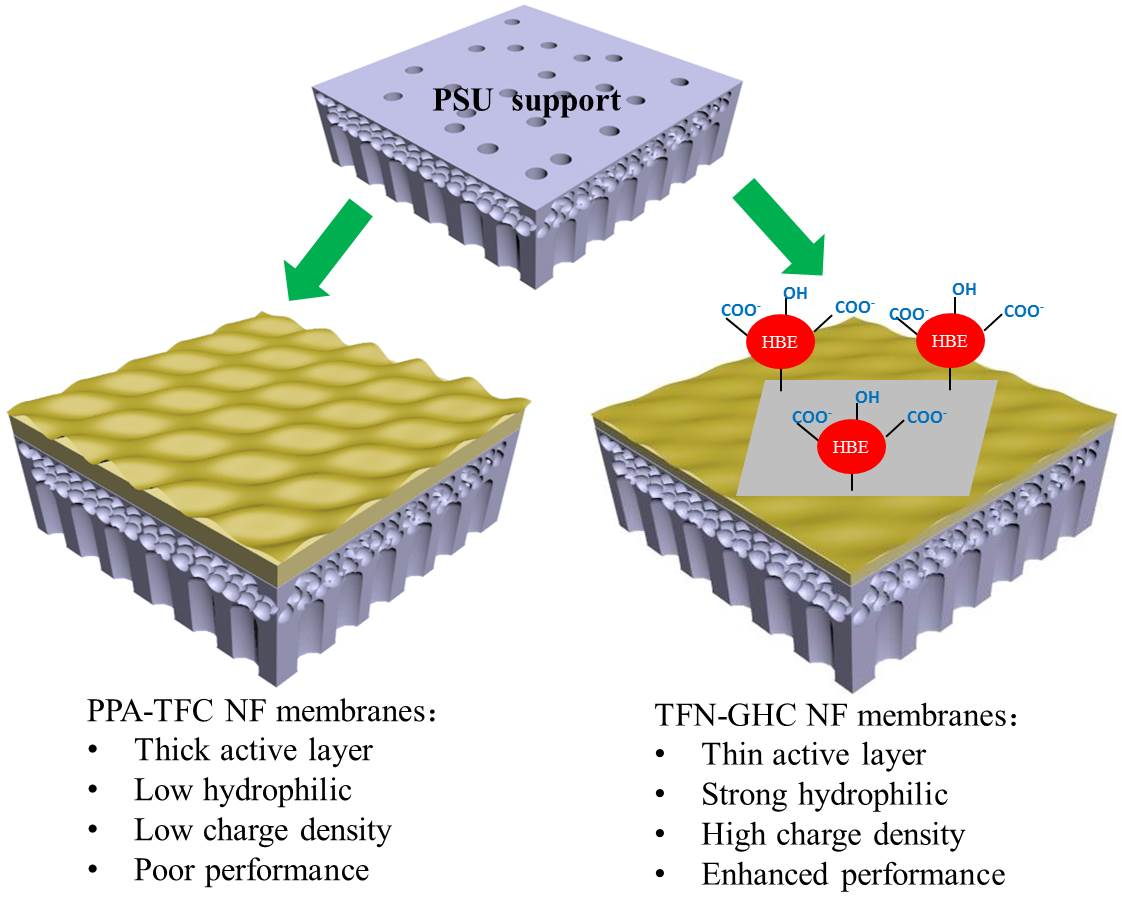 Polymers Free Full Text A Novel Thin Film Nanoposite Nanofiltration Membrane Incorporating 3d Hyperbranched Polymer Functionalized 2d Graphene Oxide Html