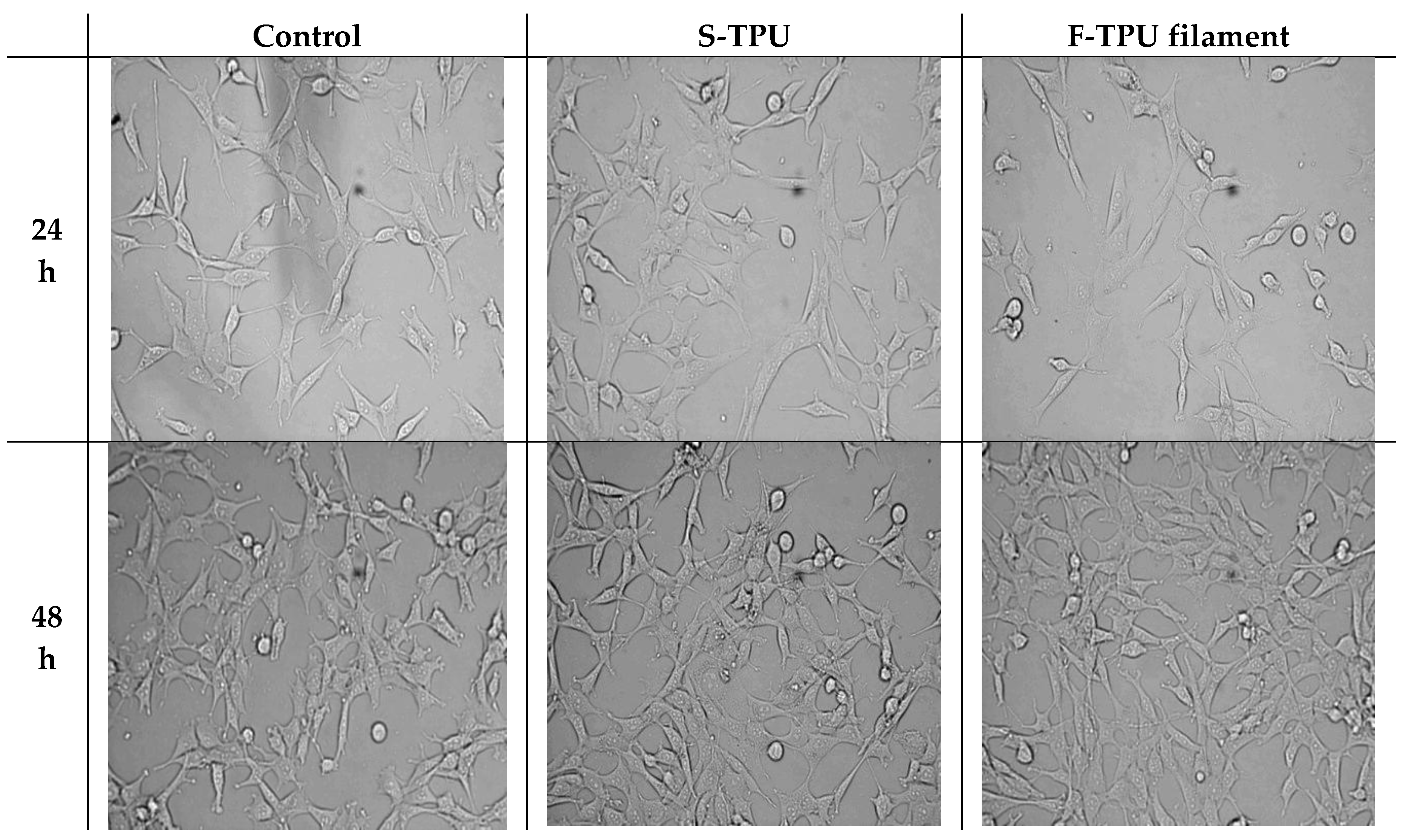 Polymers 10 01304 g008a