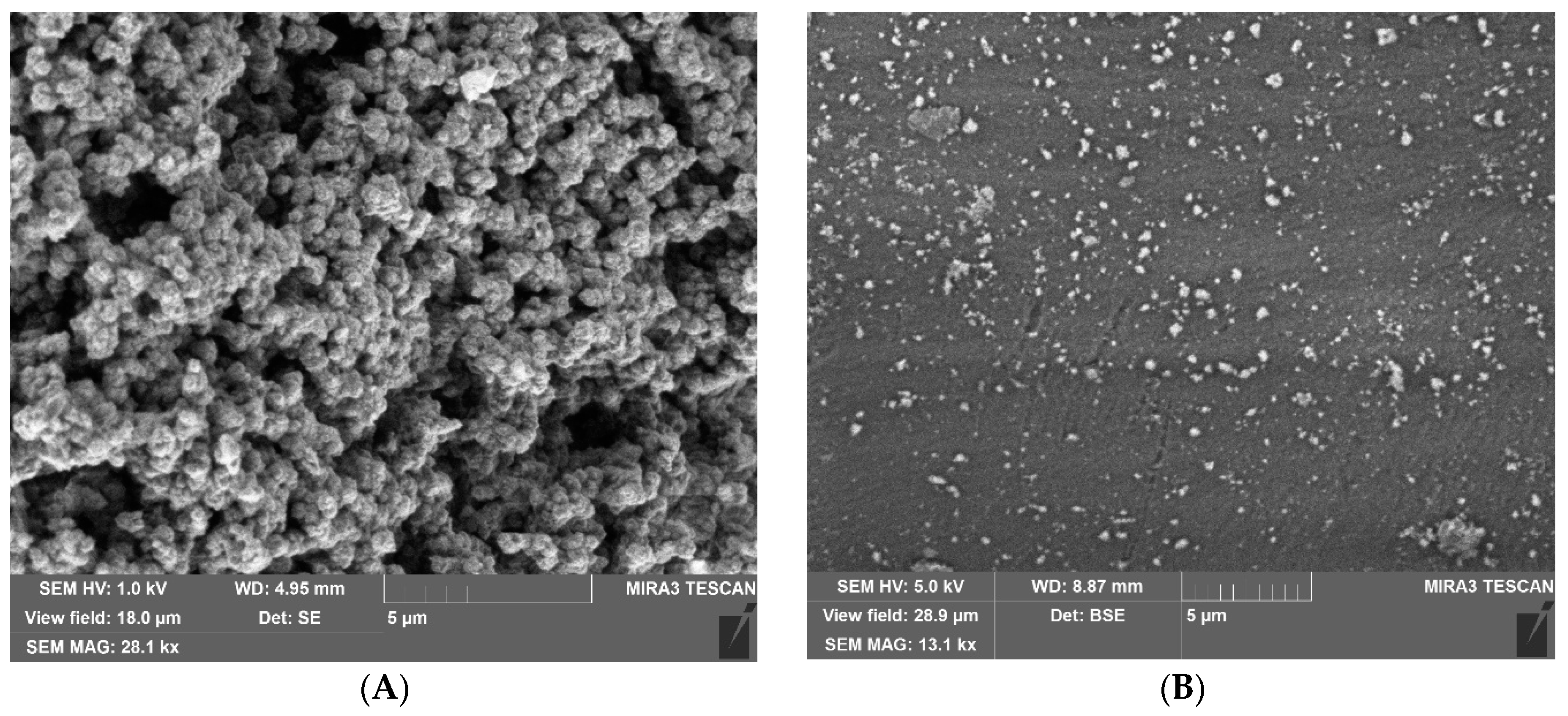 Polymers 10 01382 g003 Polymers 10 01382 g003