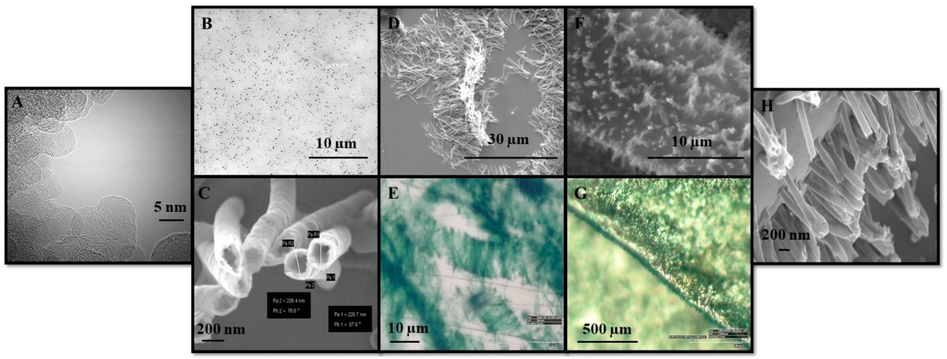 Polymers 10 01408 g005