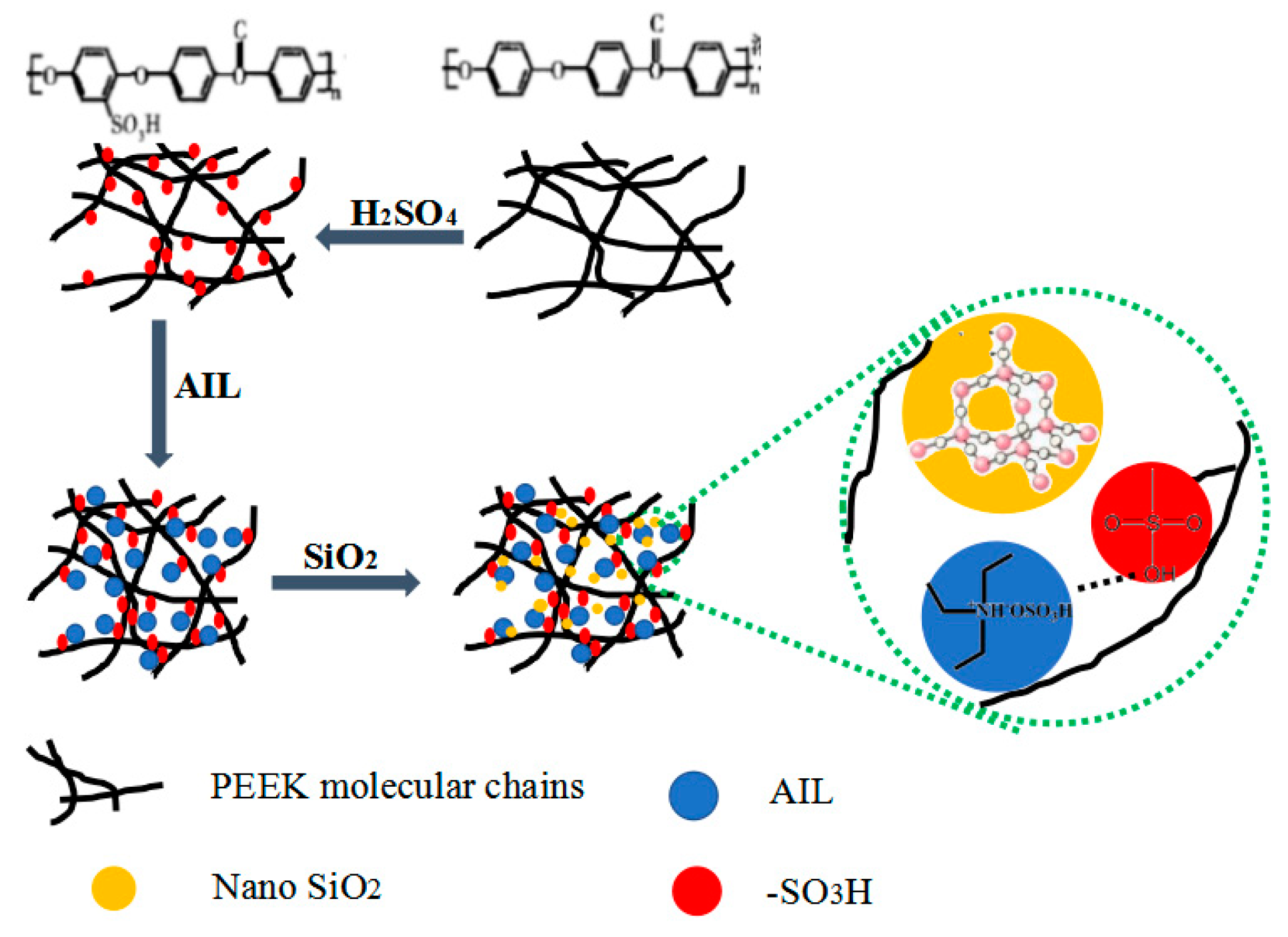 Polymers | Free Full-Text | Sulfonated Poly(ether Ether Ketone) Doped ...