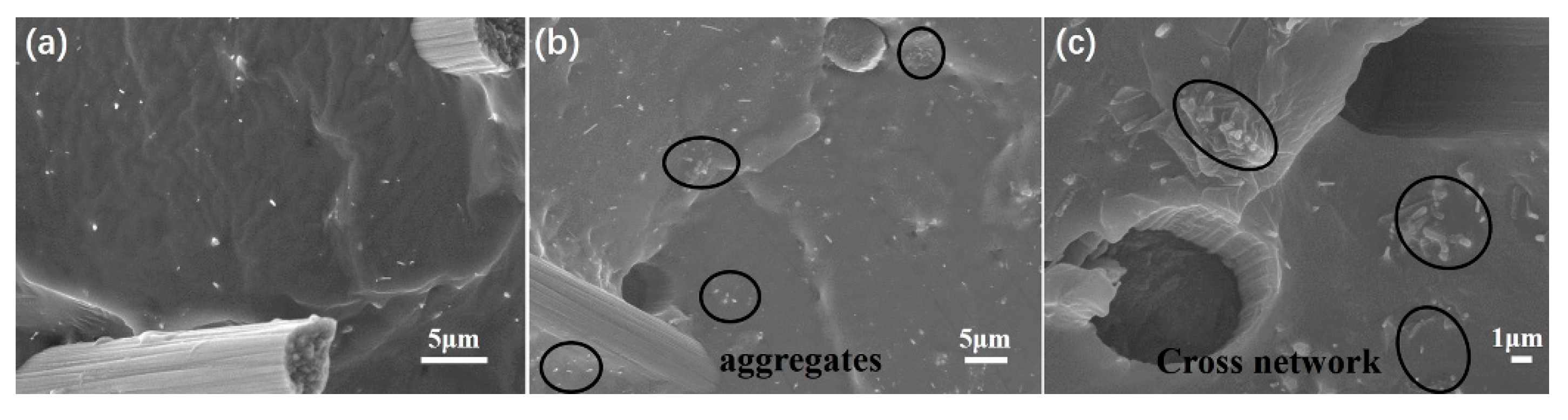 Polymers 11 00056 g004 Polymers 11 00056 g004