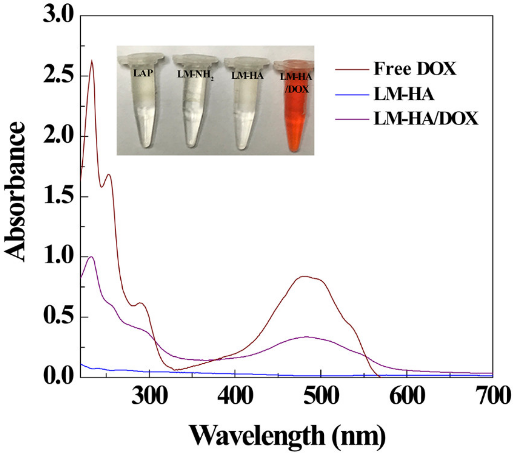 Polymers 11 00137 g004