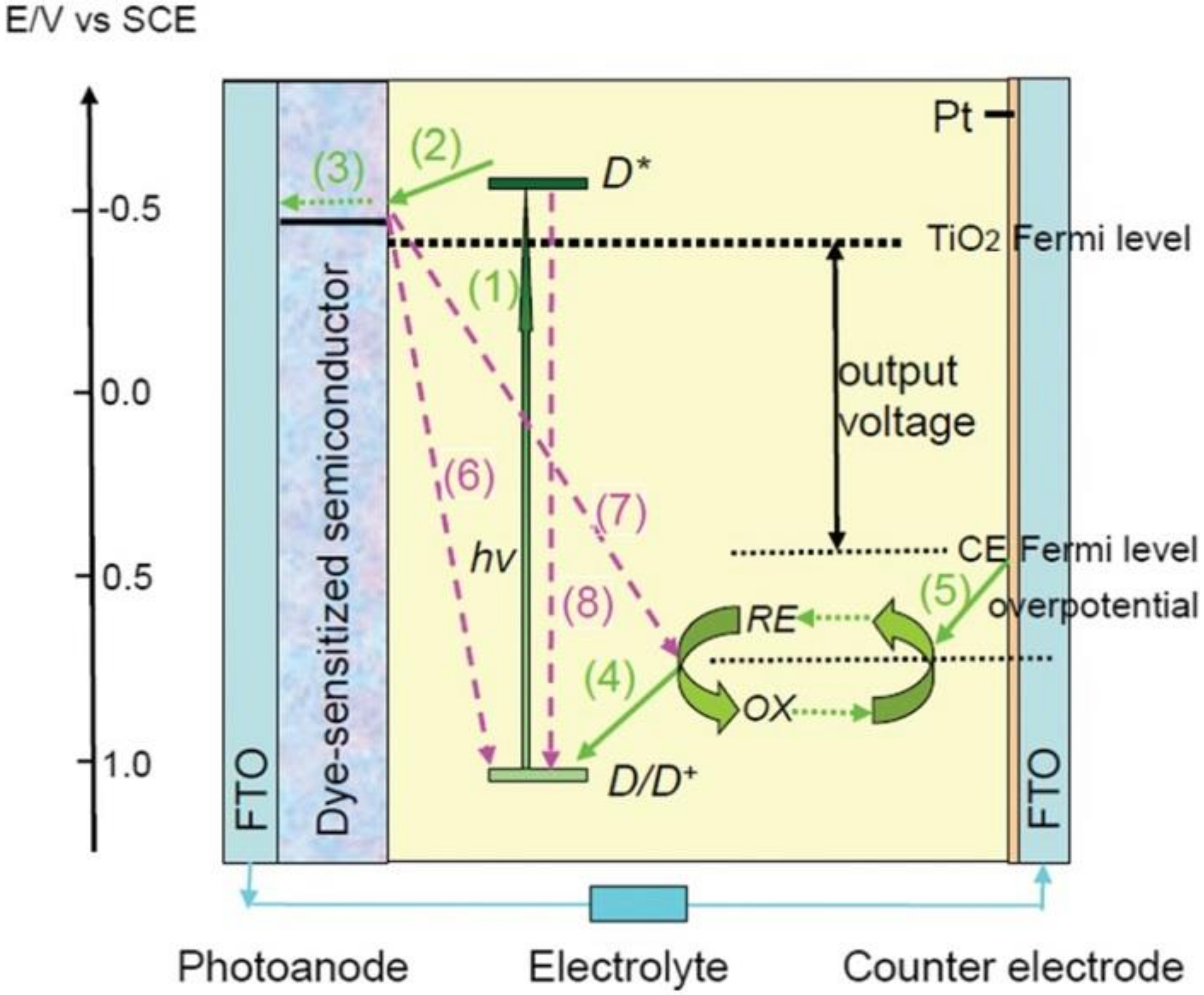 Polymers 11 00143 g002