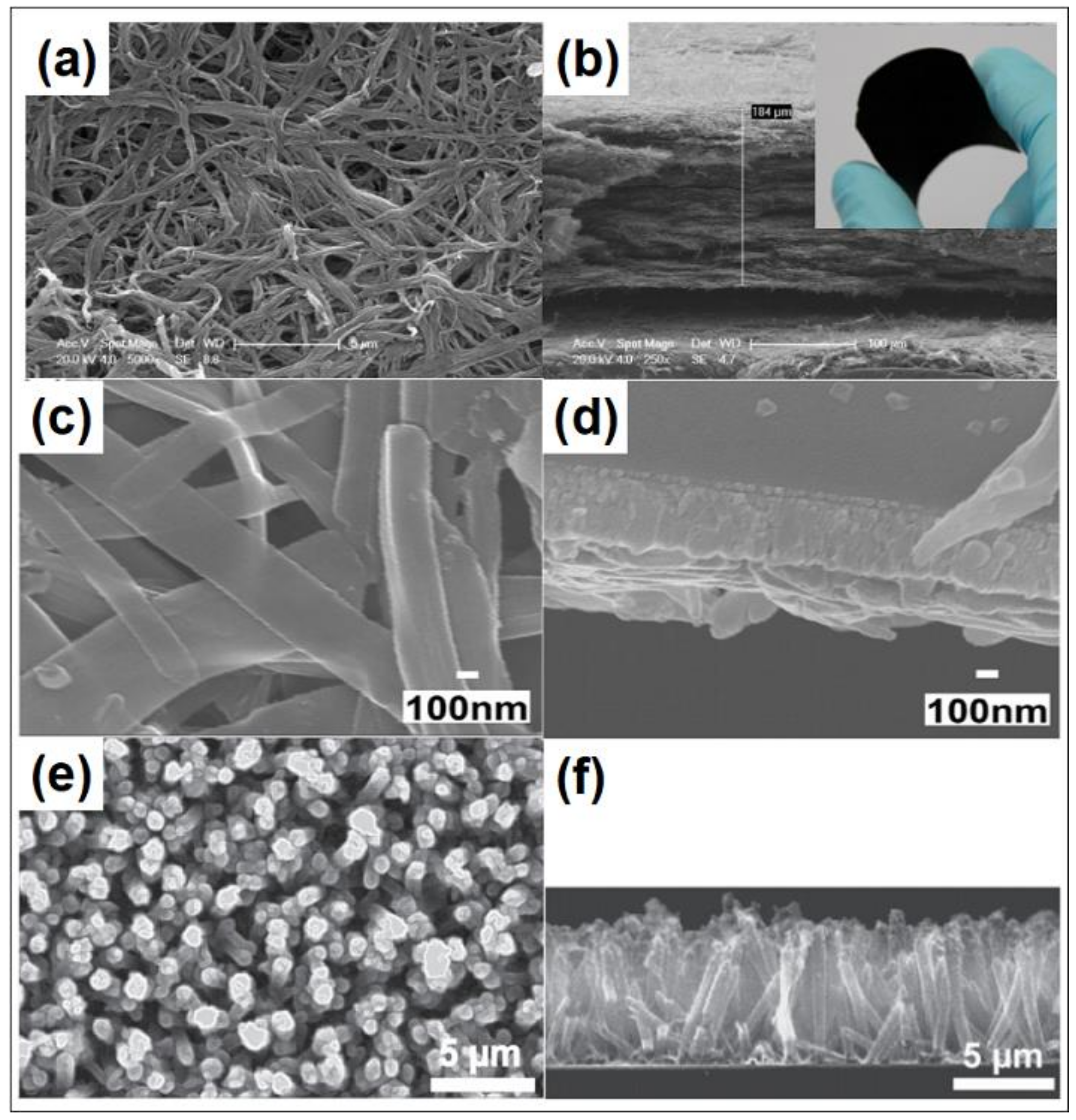 Polymers 11 00143 g003