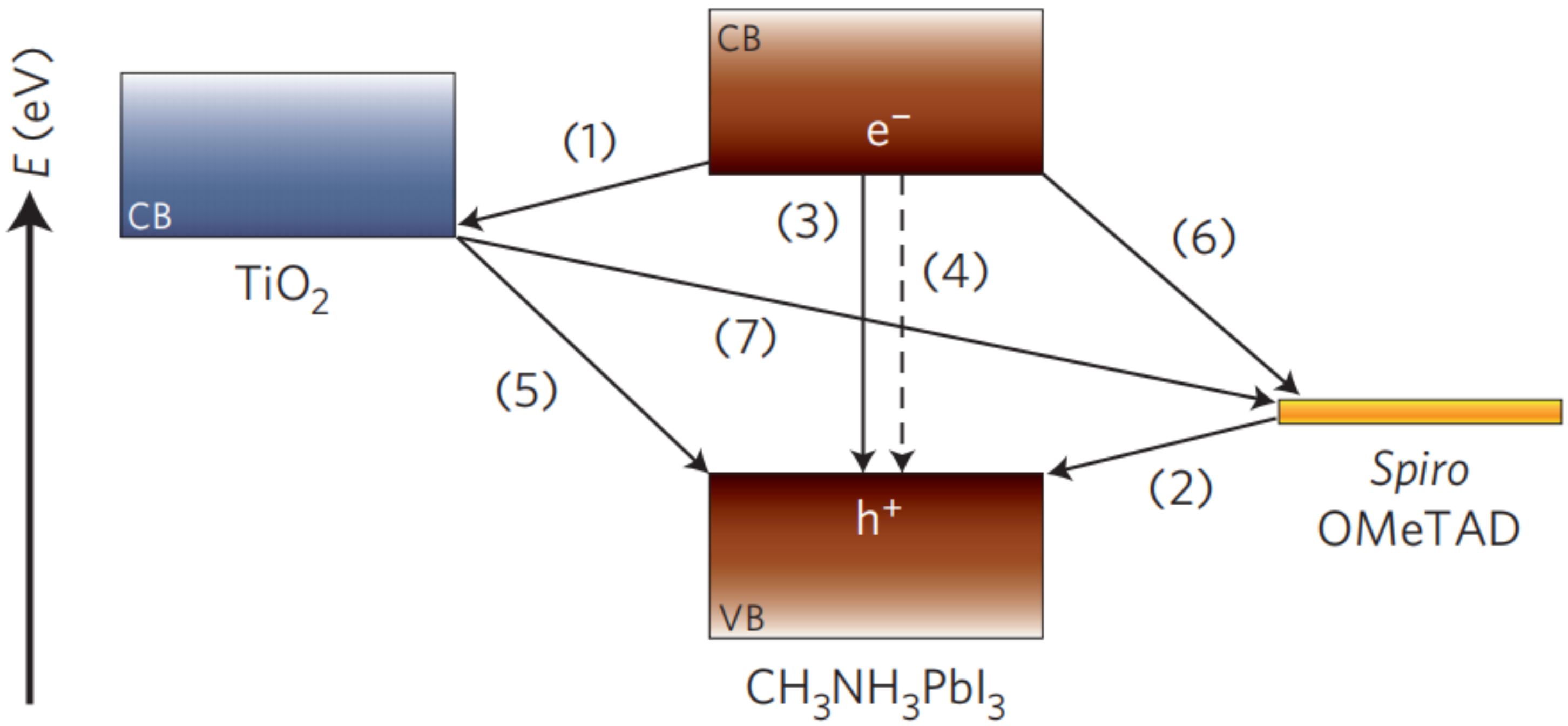 Polymers 11 00143 g008