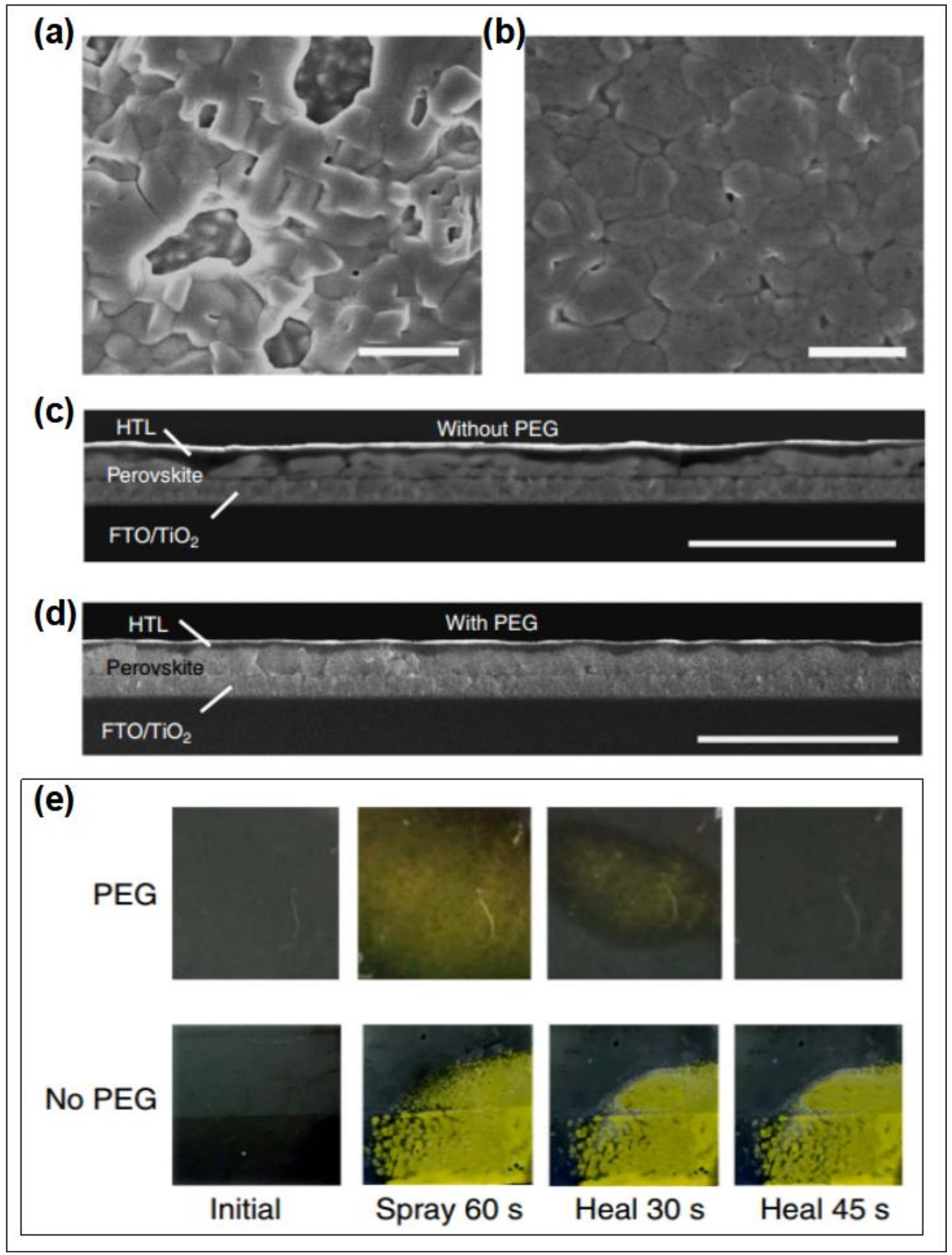 Polymers 11 00143 g011