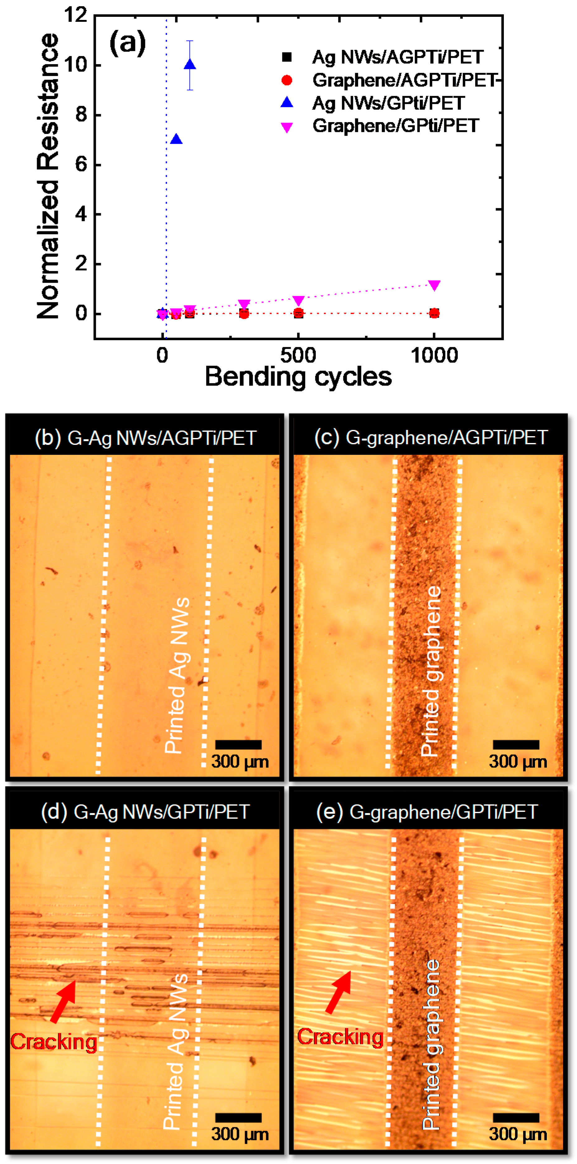 Polymers 11 00158 g009