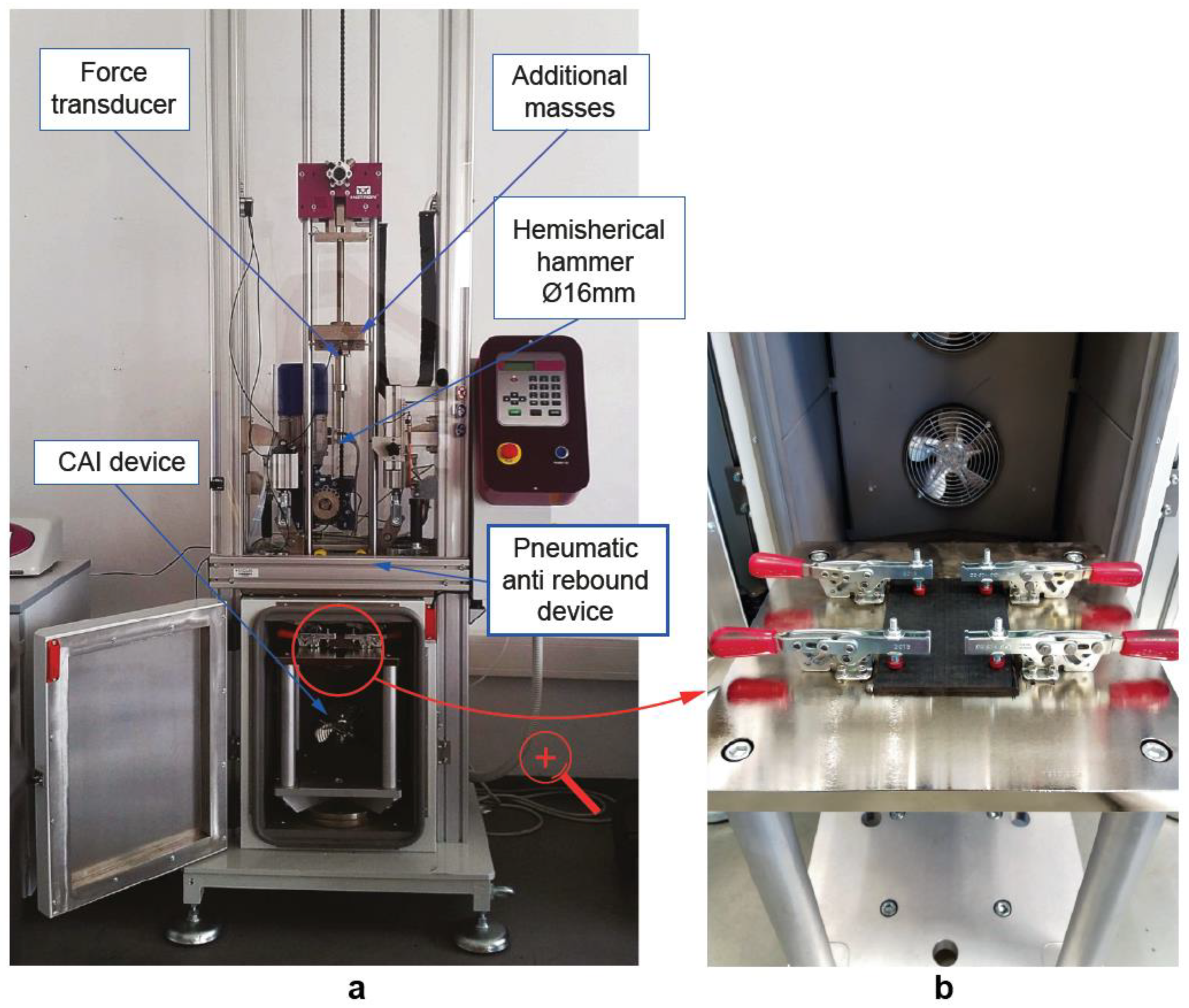 Polymers 11 00160 g002
