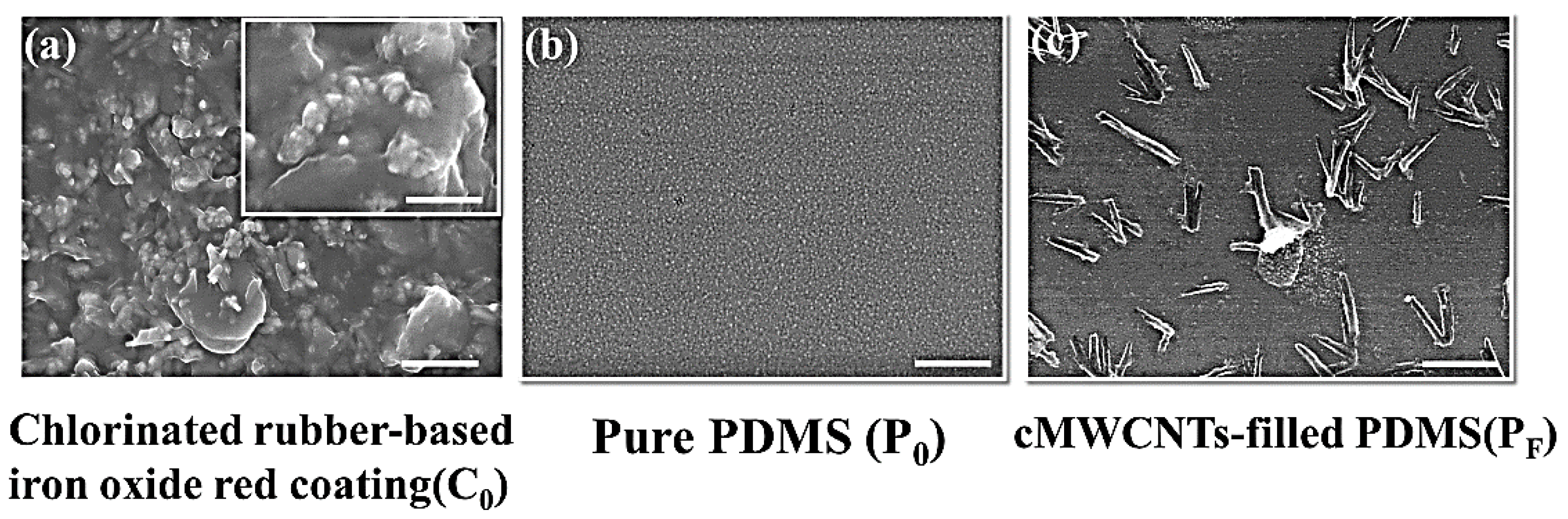 Polymers 11 00161 g001 Polymers 11 00161 g001