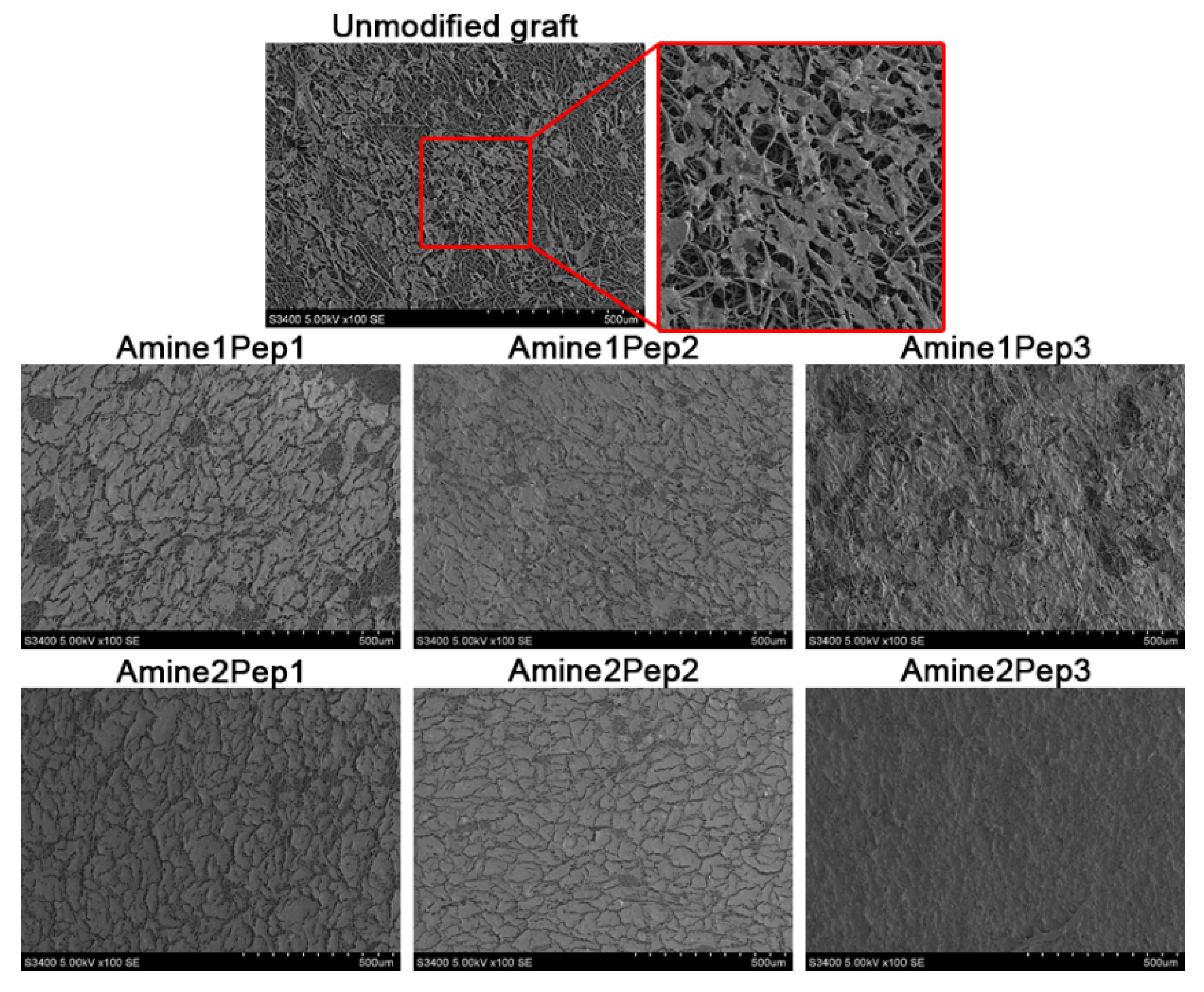 Polymers 11 00174 g004