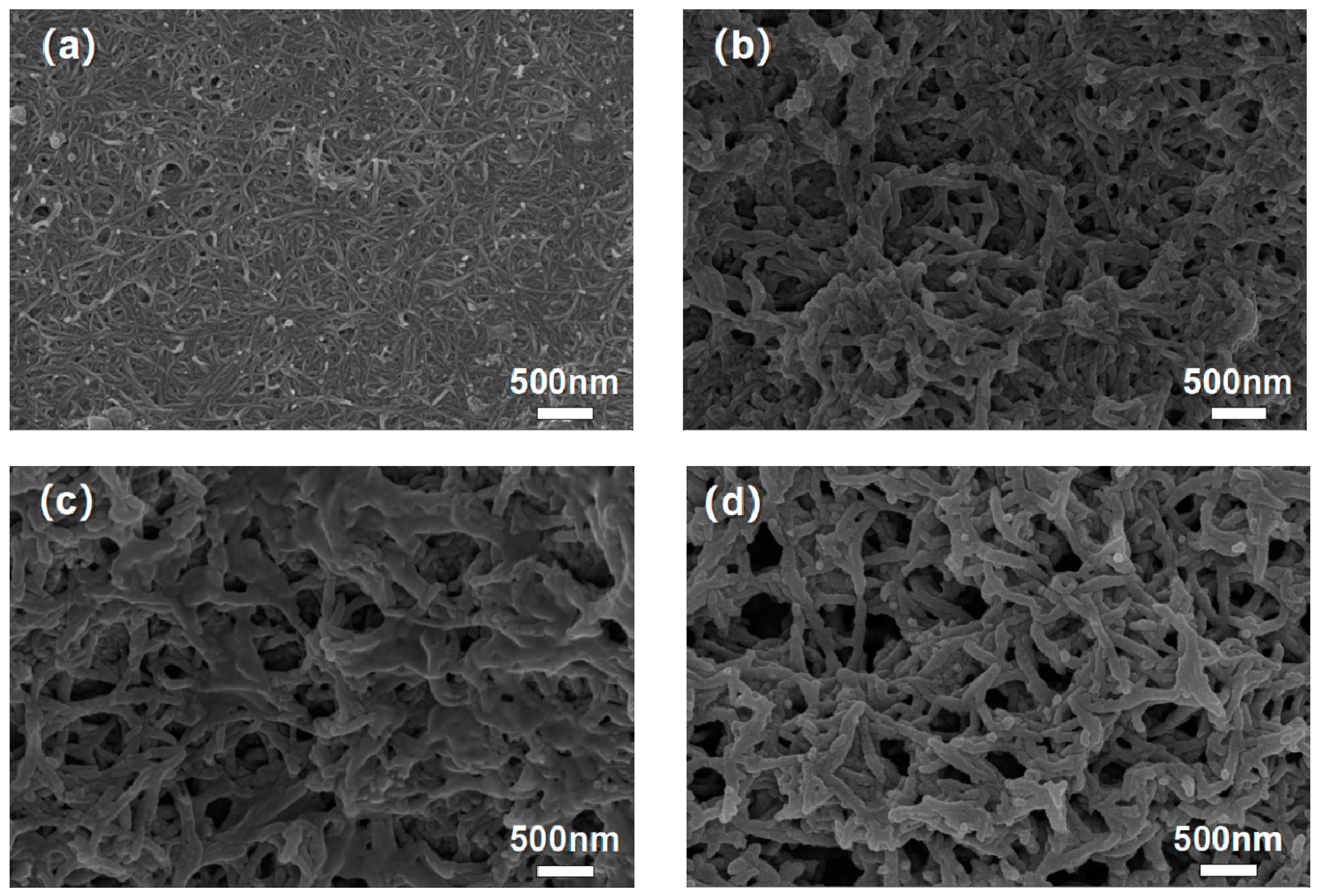 Polymers Free Full Text In Situ Growth Of A High Performance All Solid State Electrode For Flexible Supercapacitors Based On A Pani Cnt Eva Composite Html