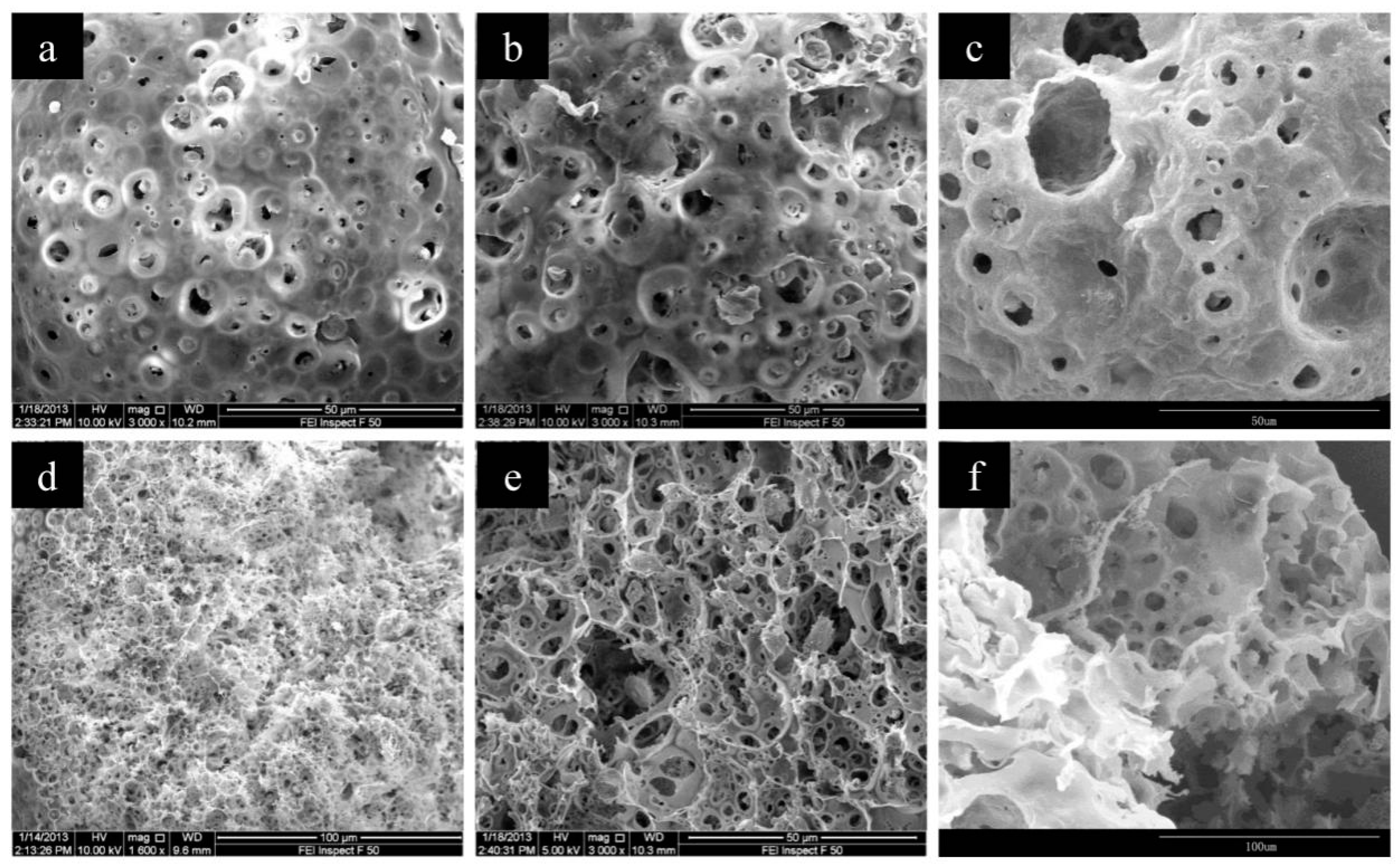 Polymers 11 00181 g005