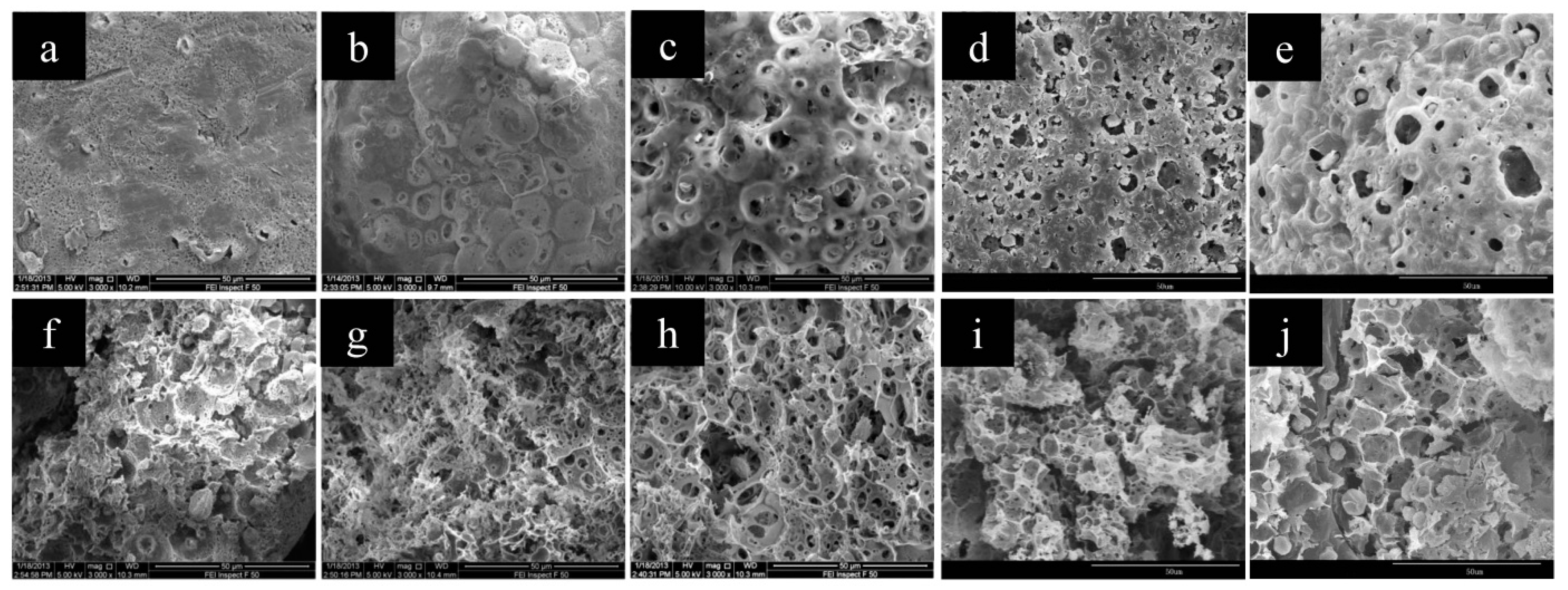 Polymers 11 00181 g007