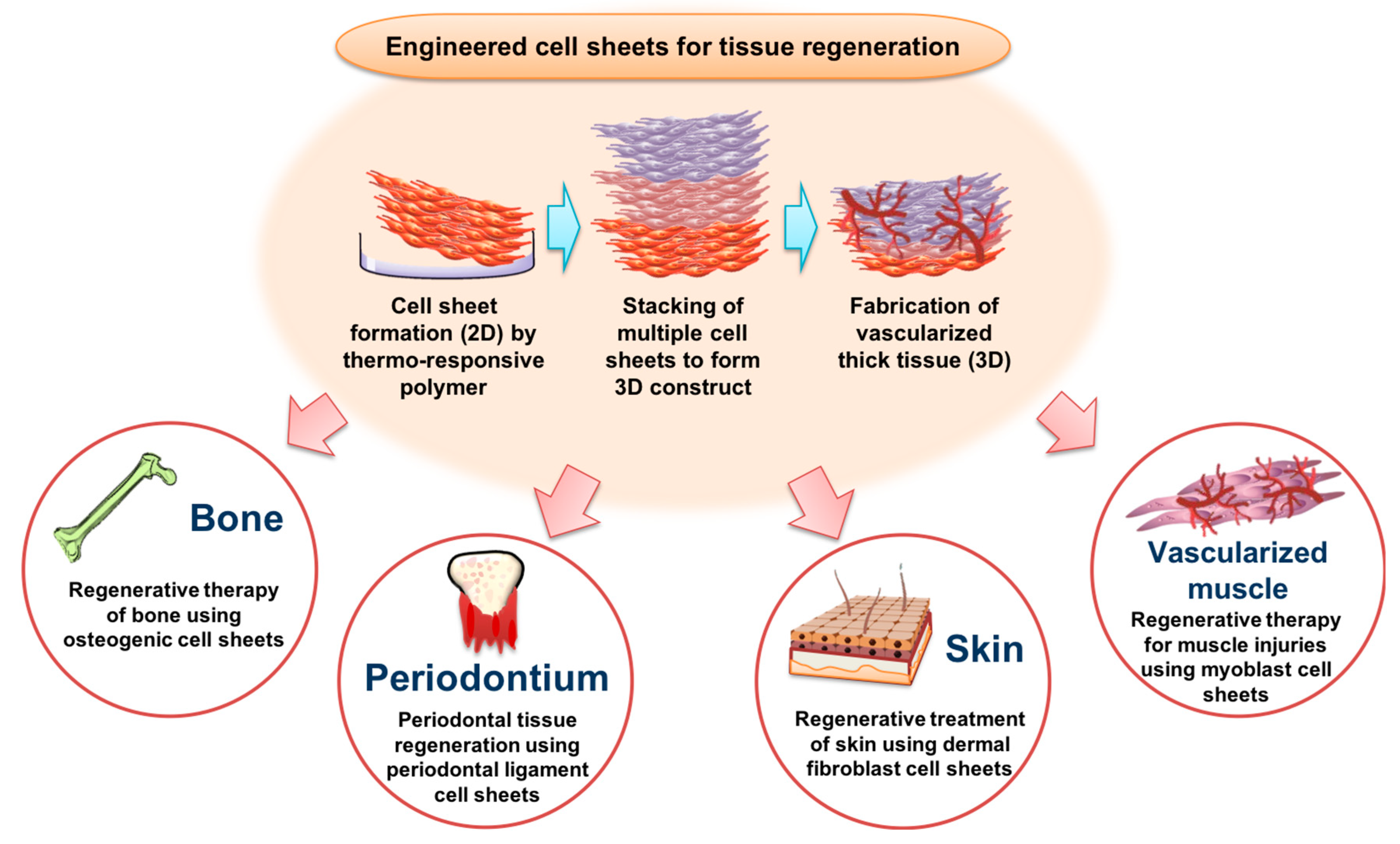 Polymers | Free Full-Text | Recent Advances in Engineered Stem Cell