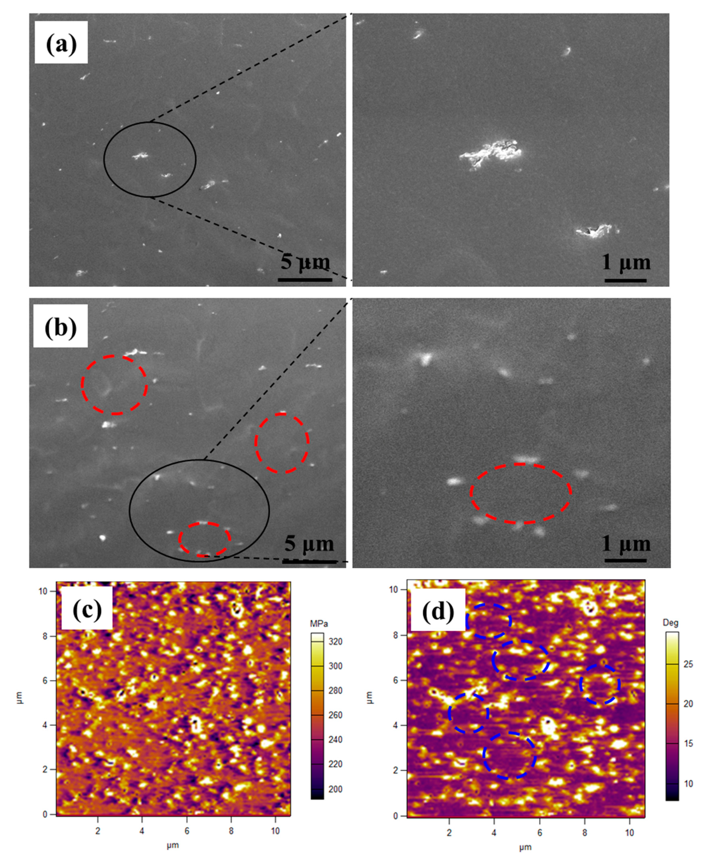 Polymers 11 00218 g004