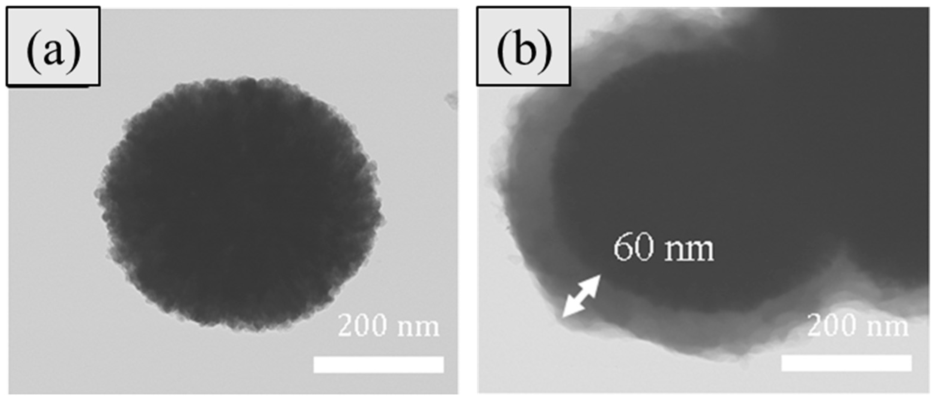 Polymers 11 00219 g002 Polymers 11 00219 g002