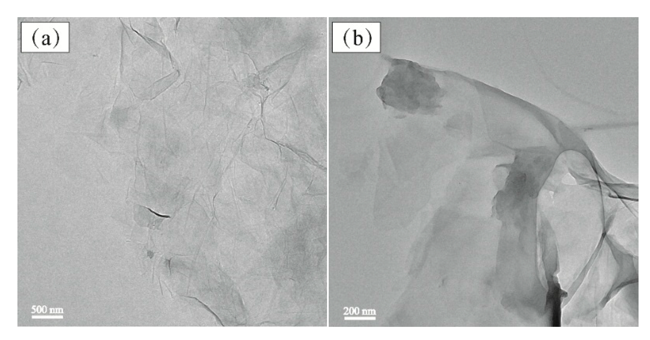 Polymers 11 00241 g005