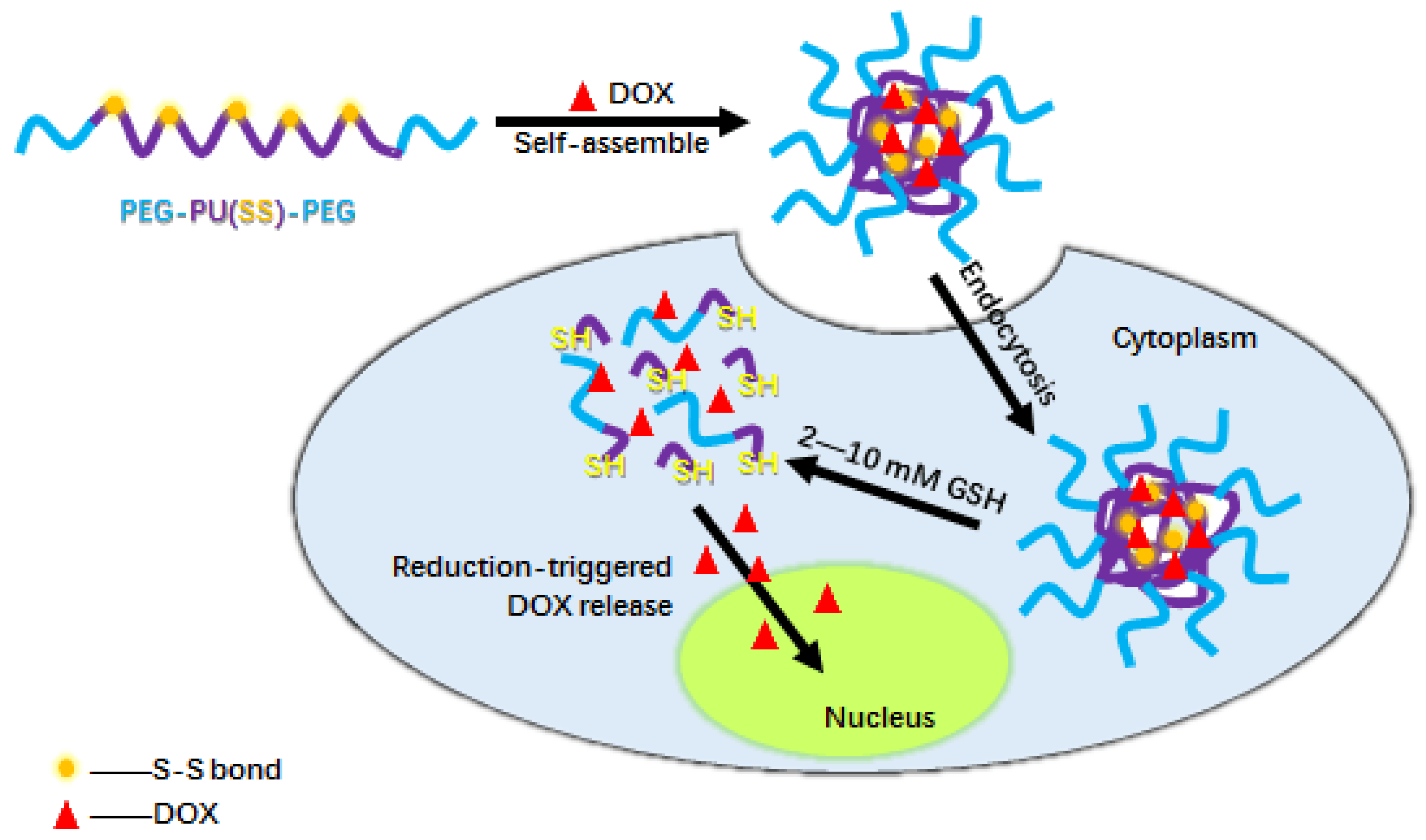 Polymers 11 00262 sch001