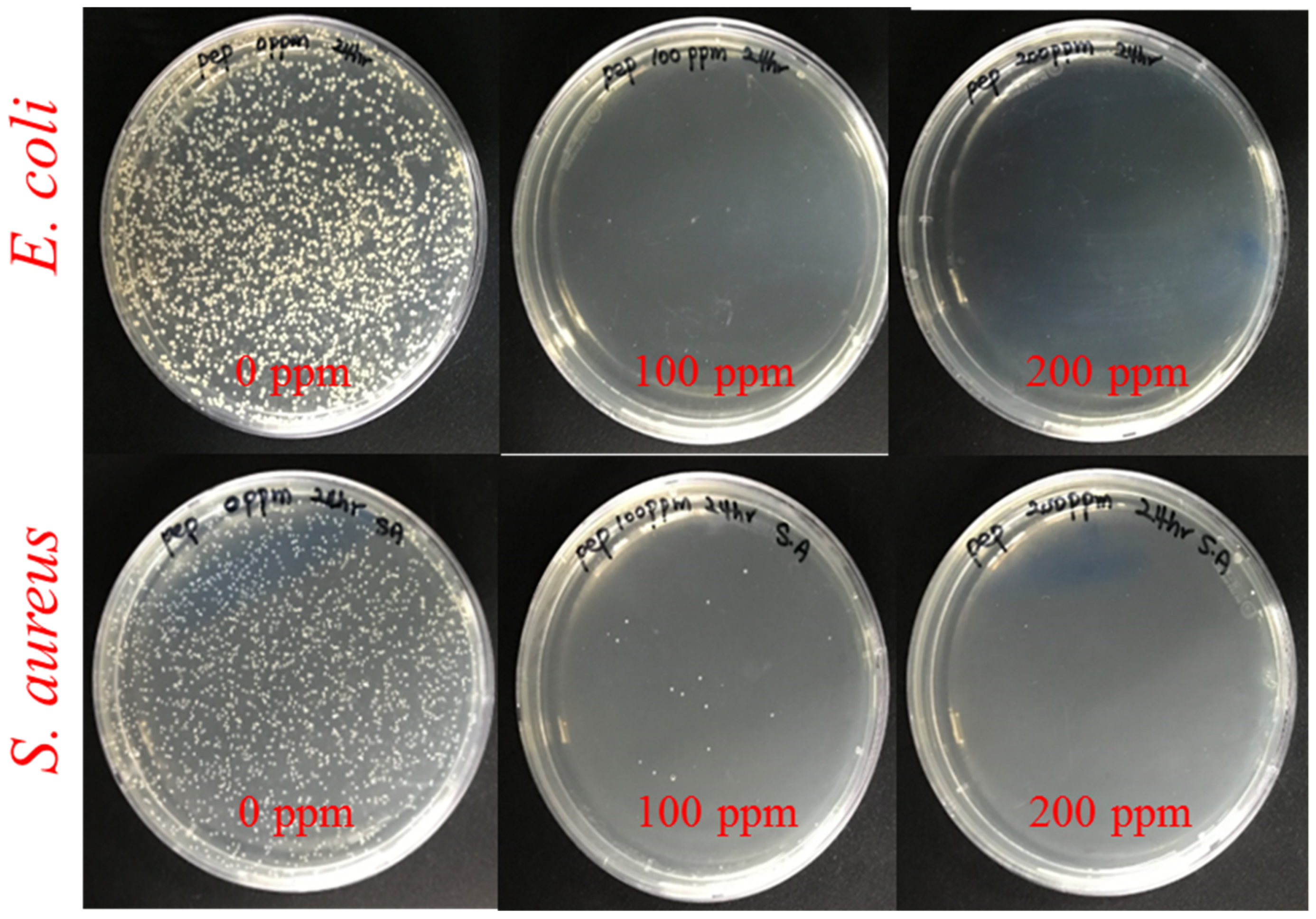Polymers 11 00271 g005