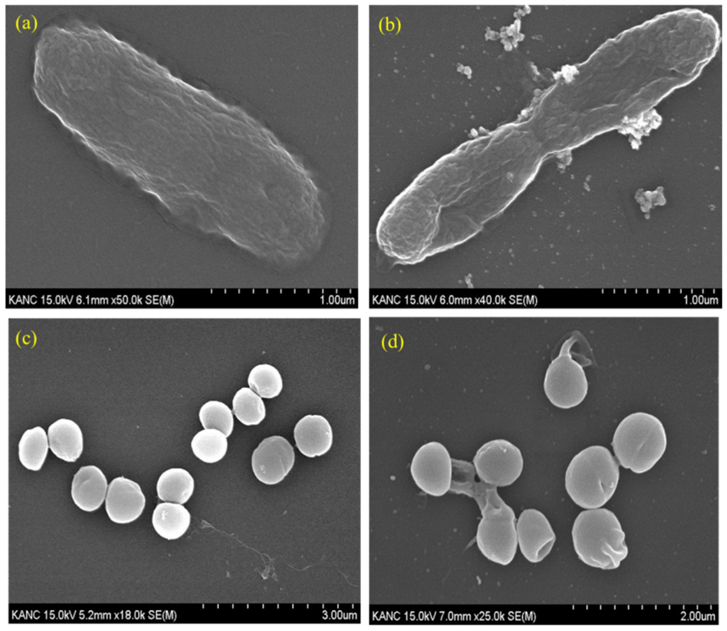 Polymers 11 00271 g006