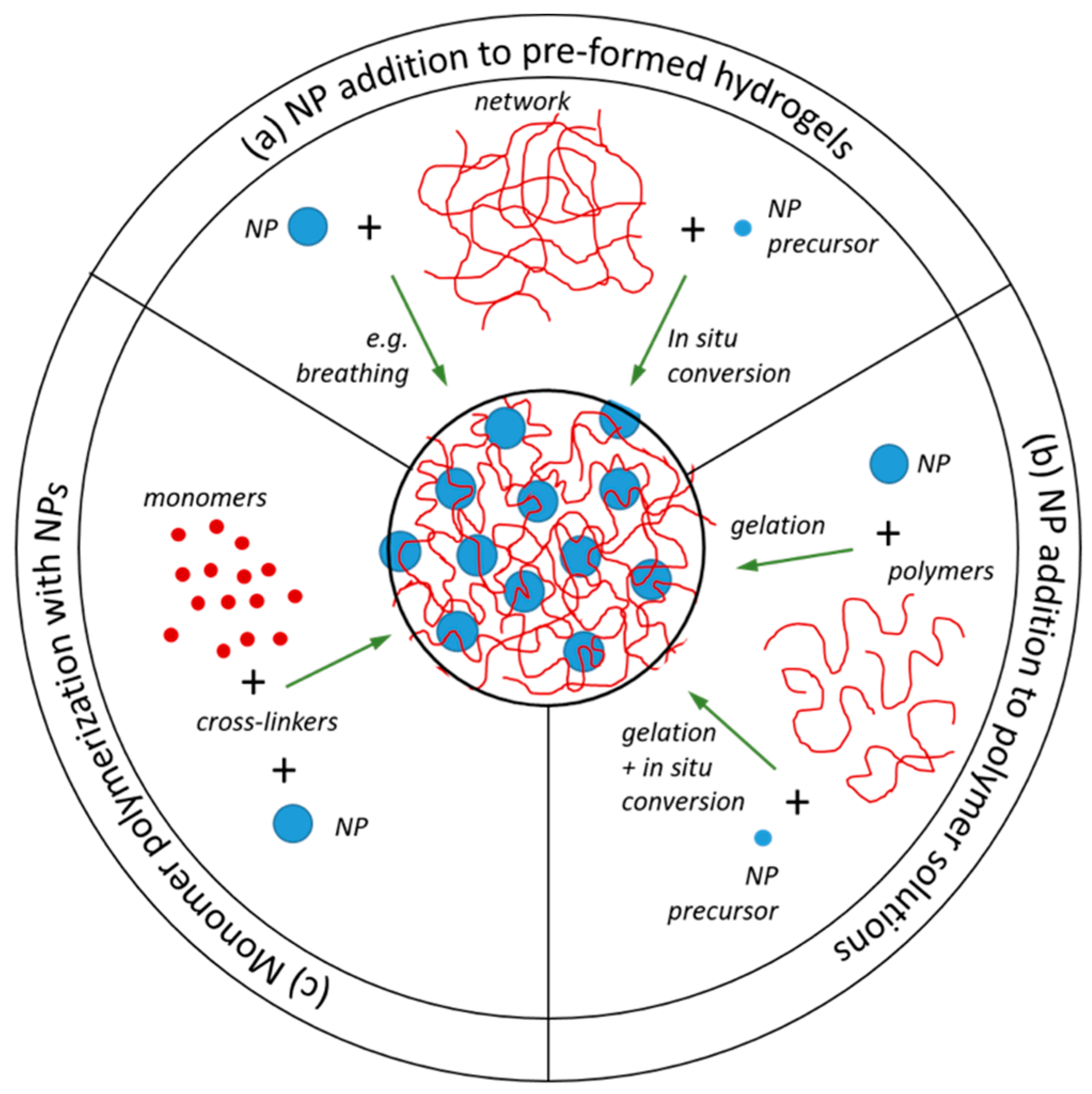 Polymers 11 00275 g002