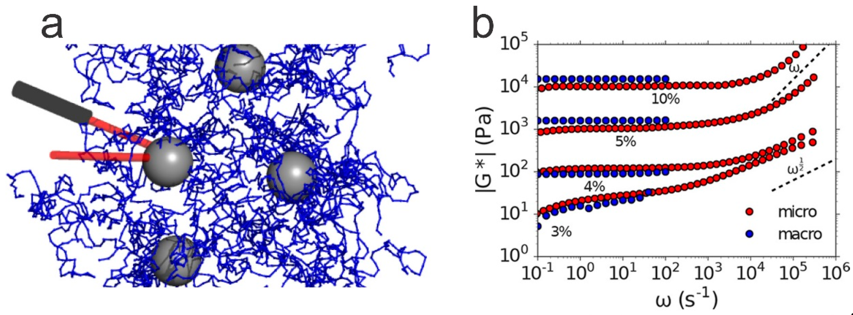 Polymers 11 00275 g011