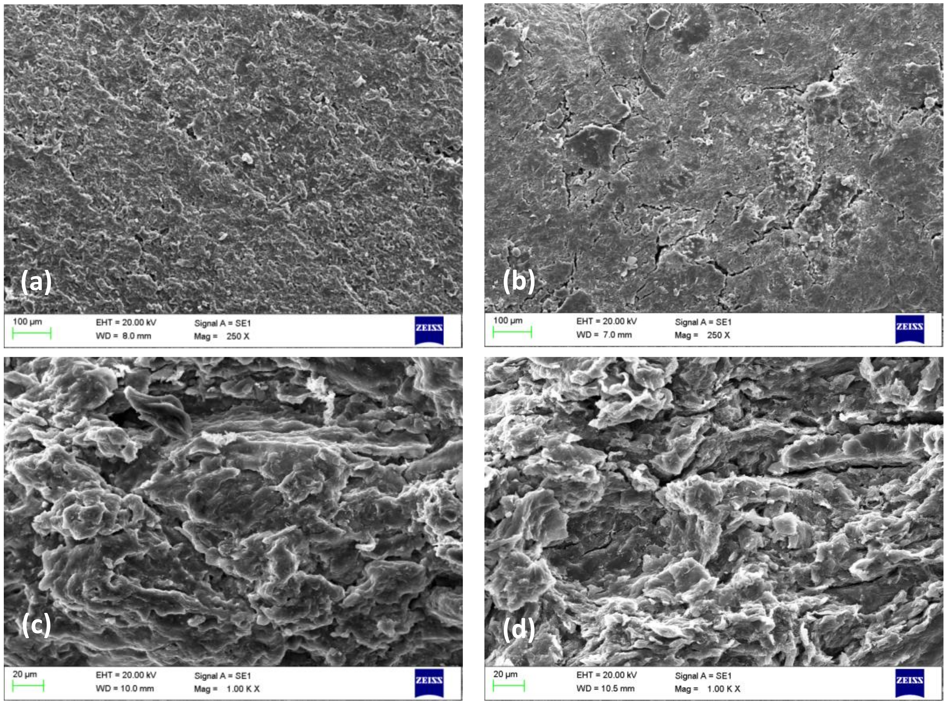 Polymers Free Full Text Development Of Bio Based Films And 3d Objects From Apple Pomace Html