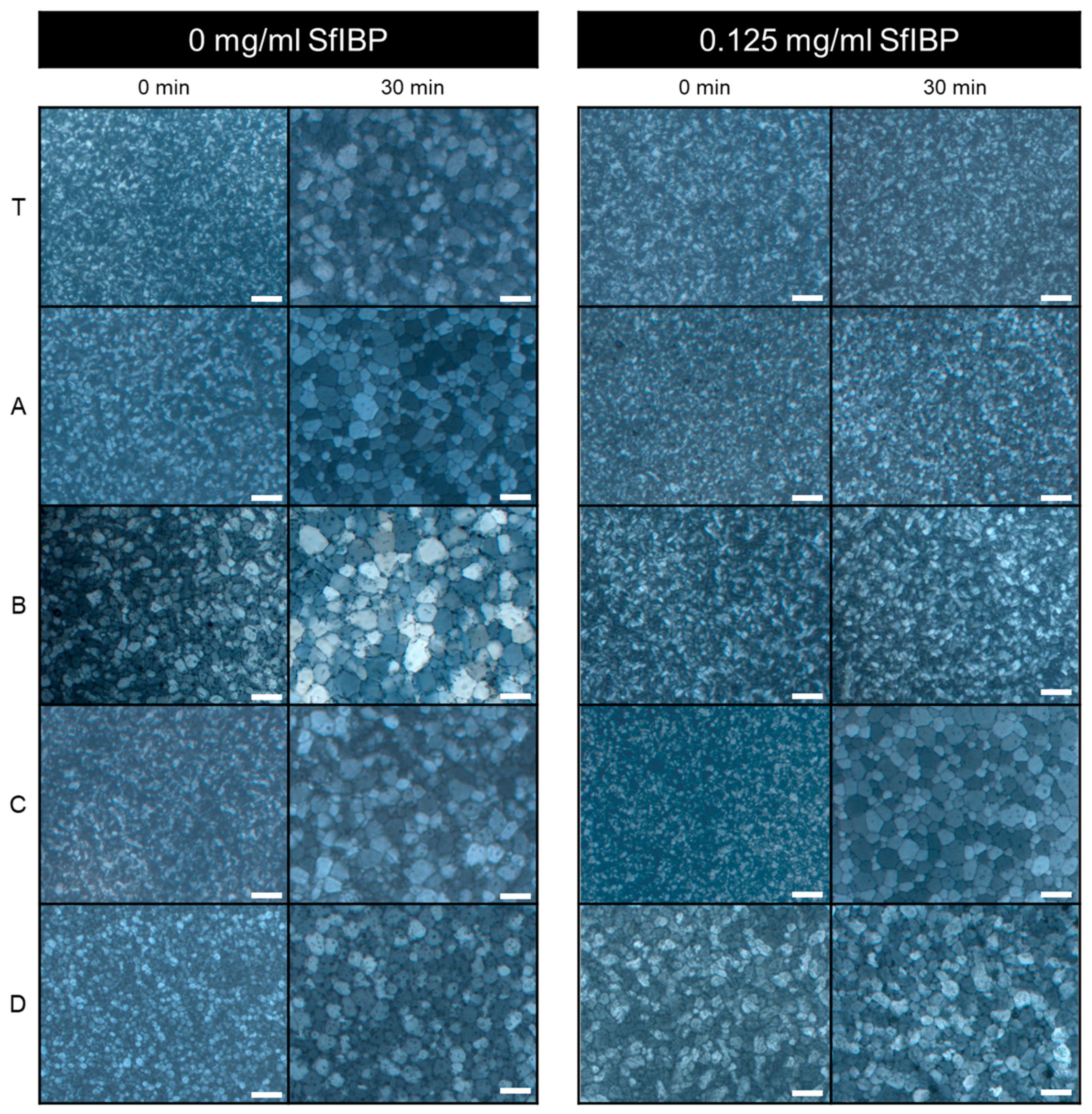 Polymers 11 00299 g003