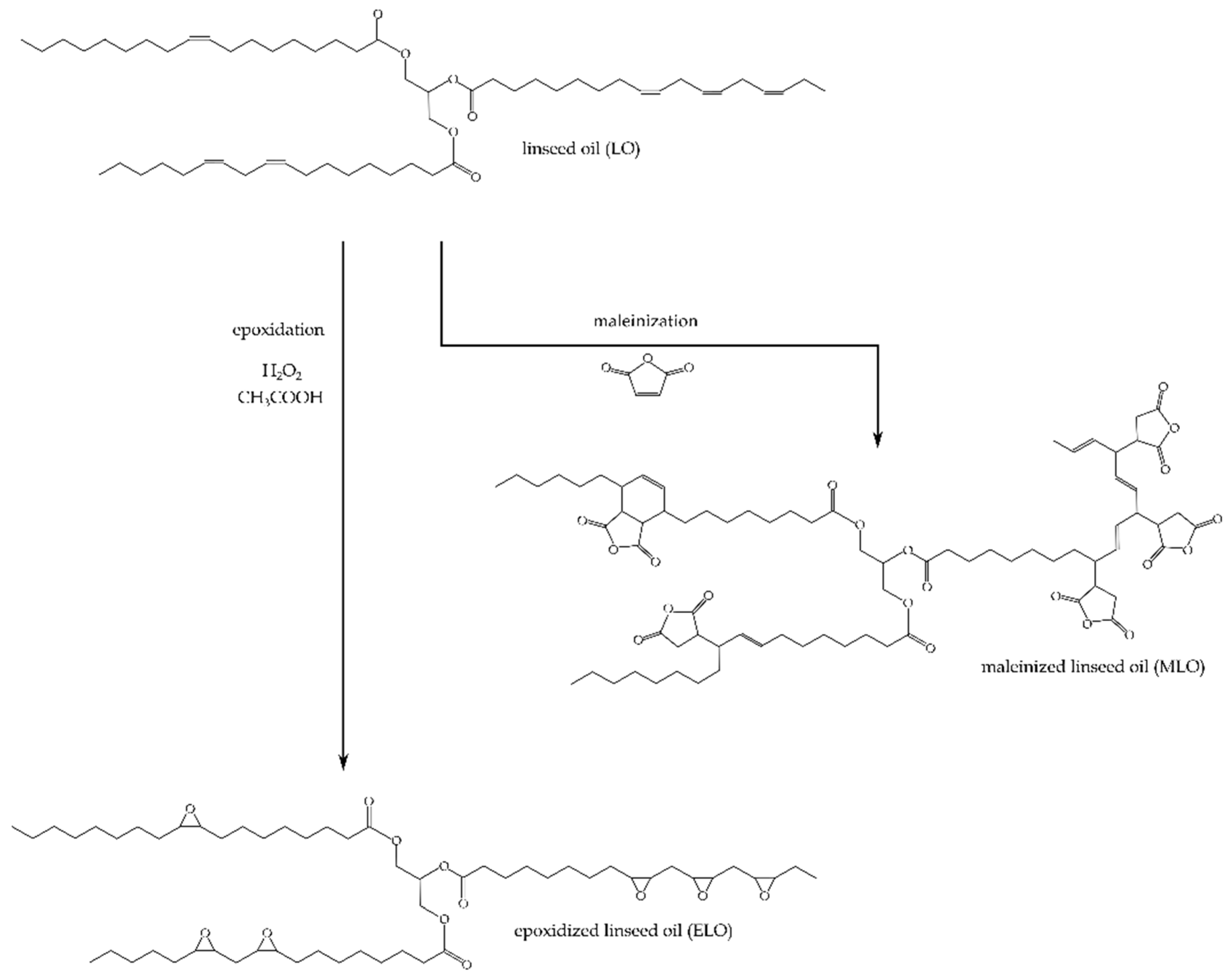 Polymers 11 00301 g001