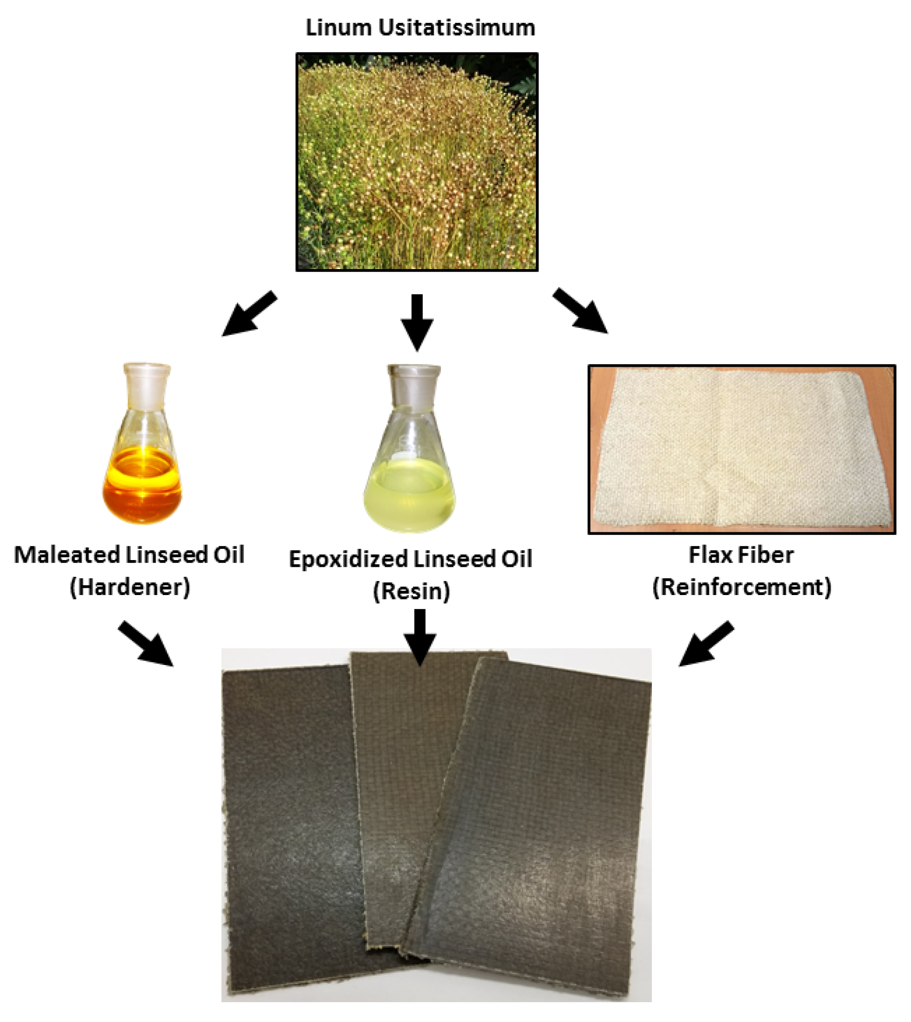 Polymers | Free Full-Text | Maleinized Linseed Oil as Epoxy Resin Hardener  for Composites with High Bio Content Obtained from Linen Byproducts