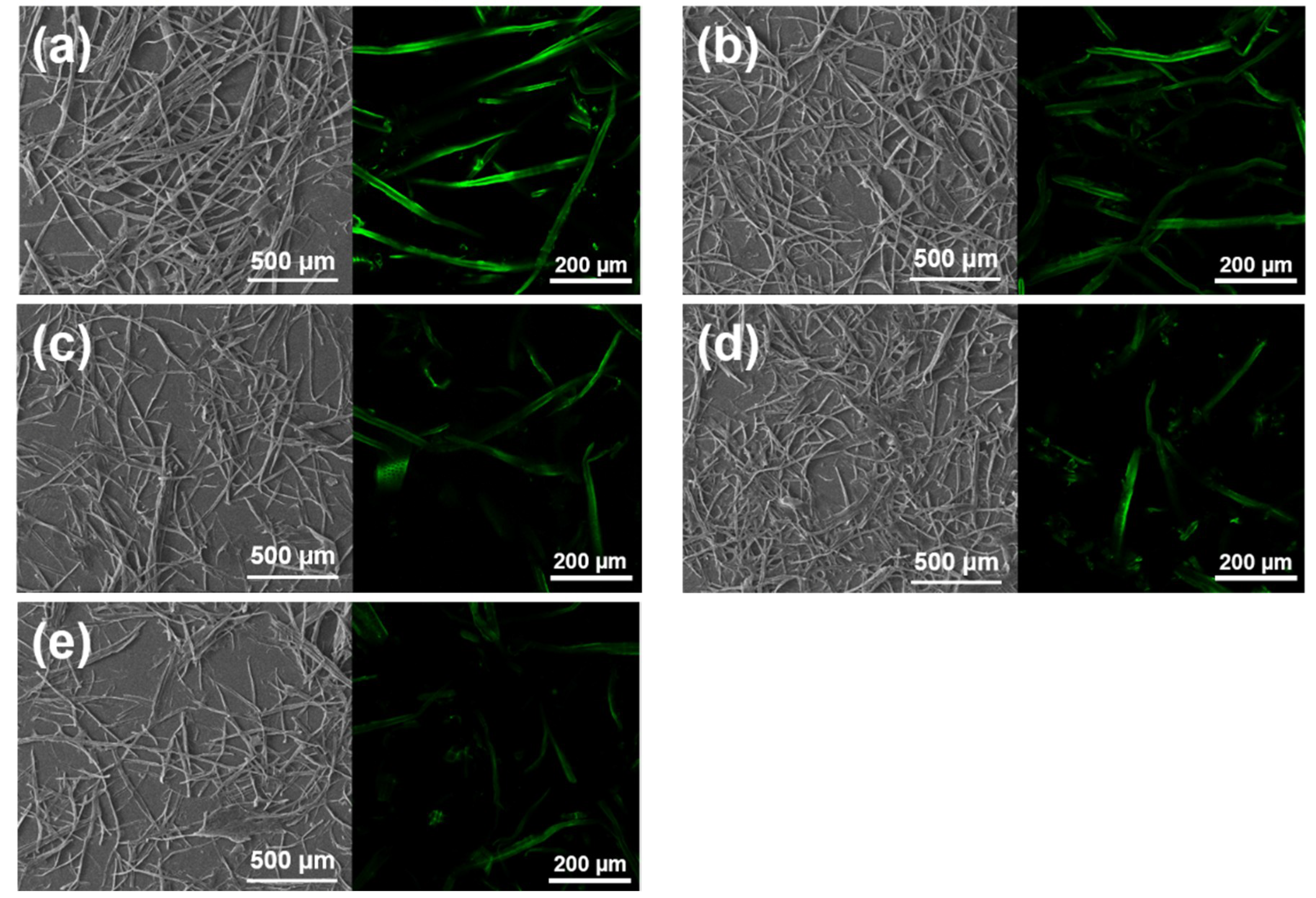 Polymers 11 00331 g003 Polymers 11 00331 g003