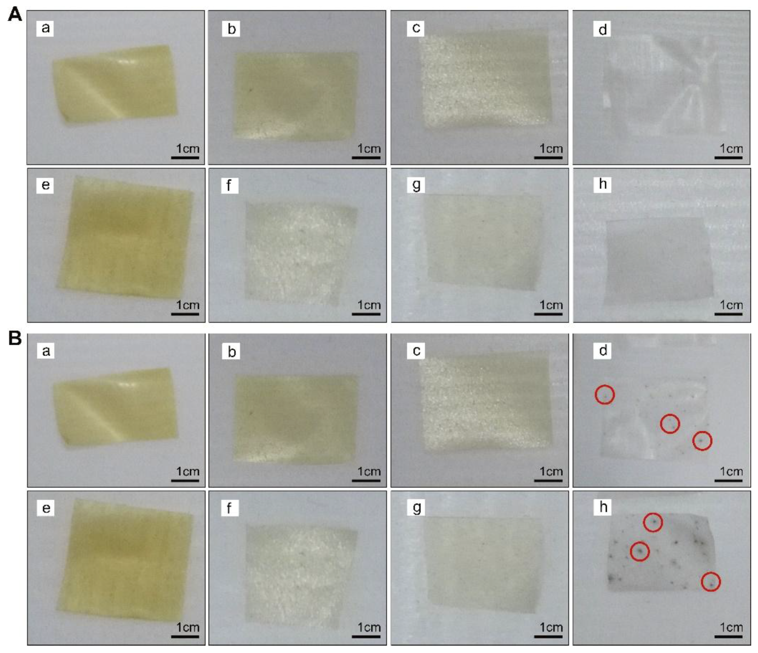 Polymers 11 00368 g005 Polymers 11 00368 g005