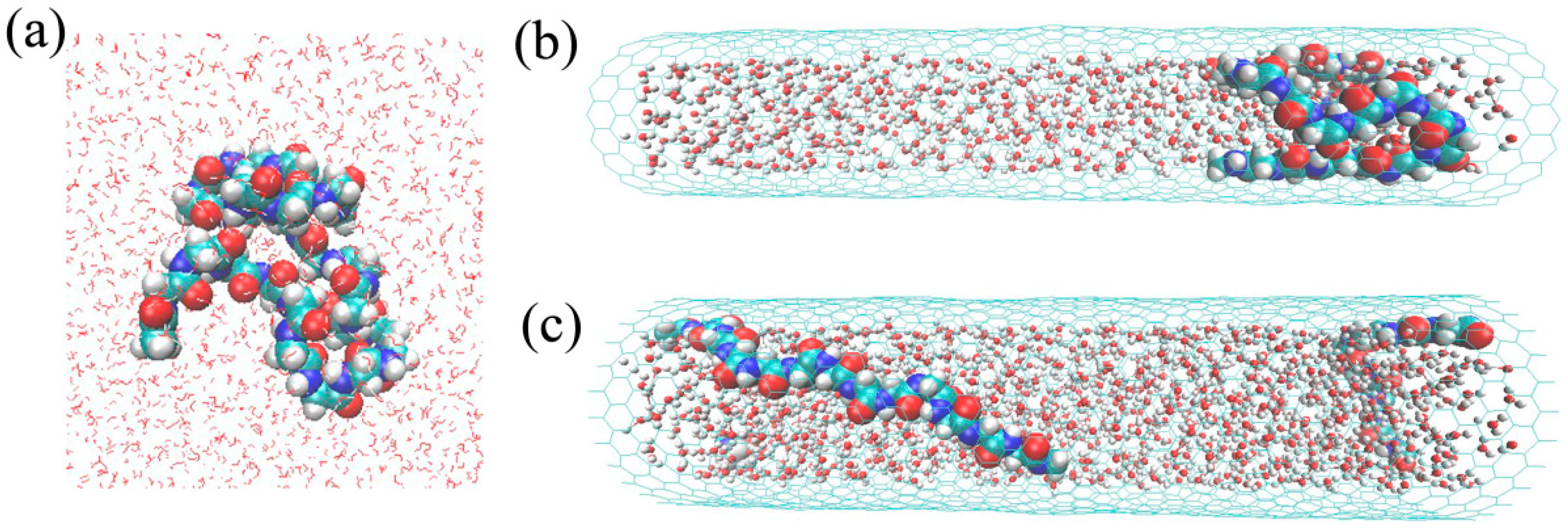 Polymers 11 00385 g001