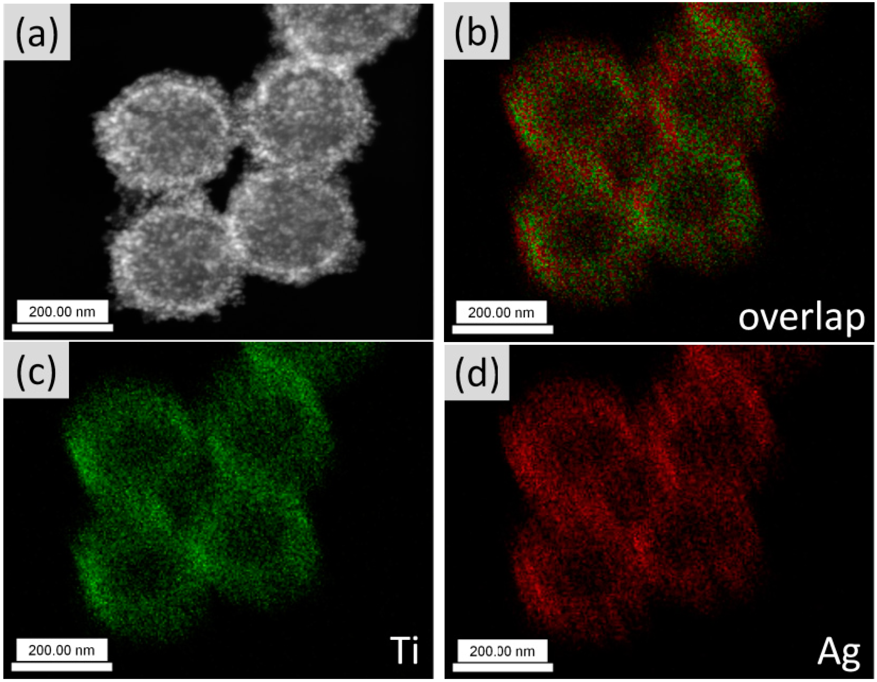 Polymers 11 00401 g005 Polymers 11 00401 g005