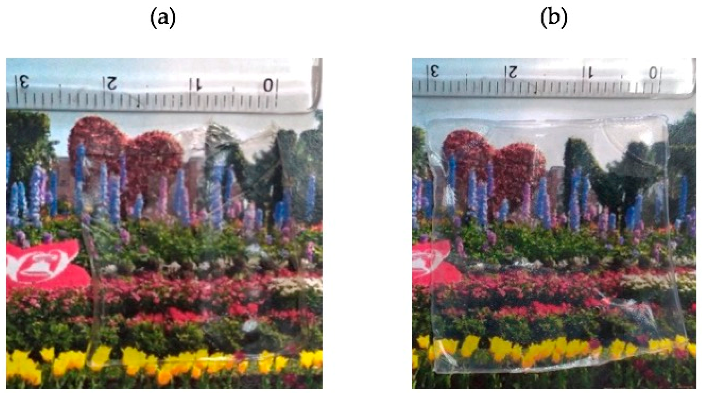 Polymers 11 00431 g001