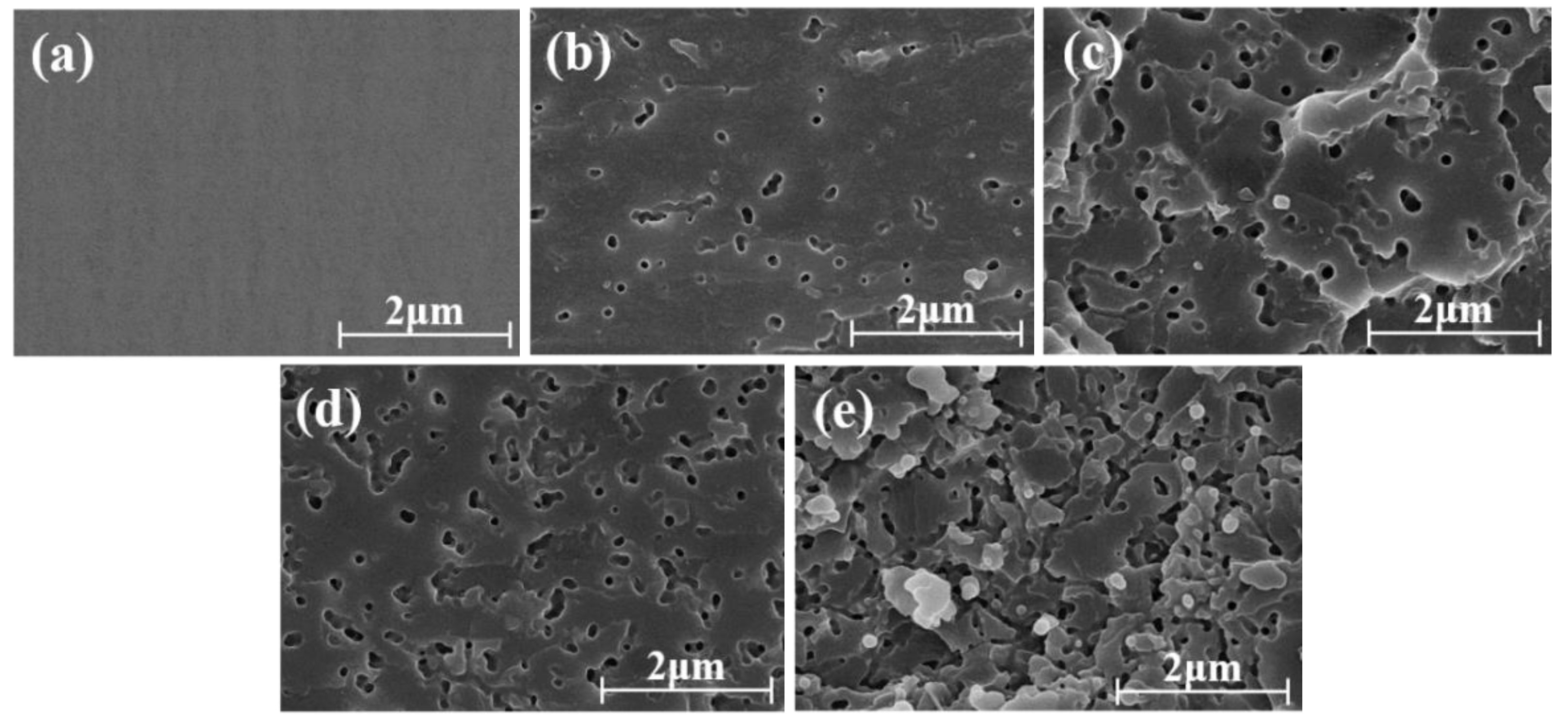Polymers 11 00461 g011