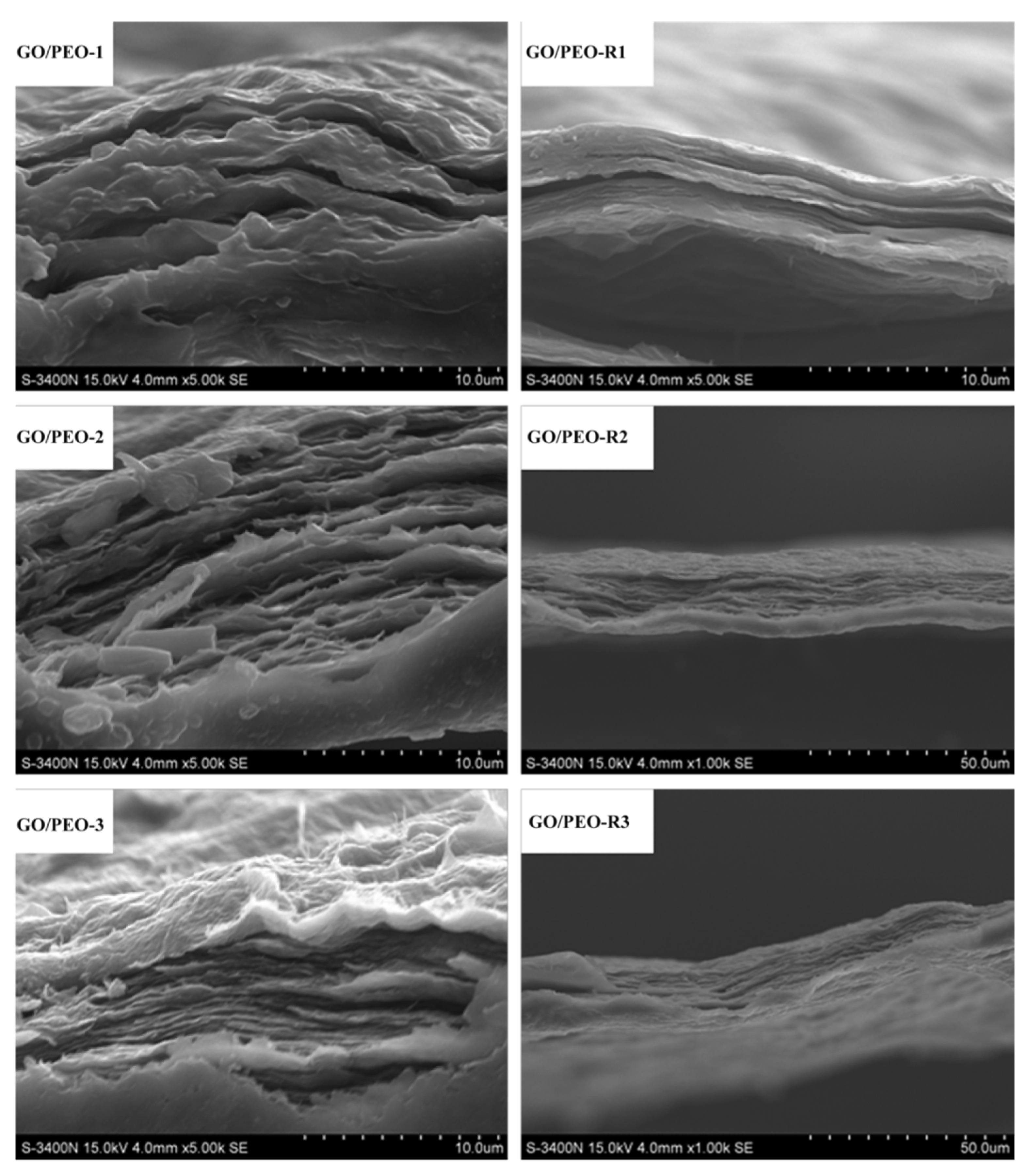 Polymers 11 00532 g004 Polymers 11 00532 g004