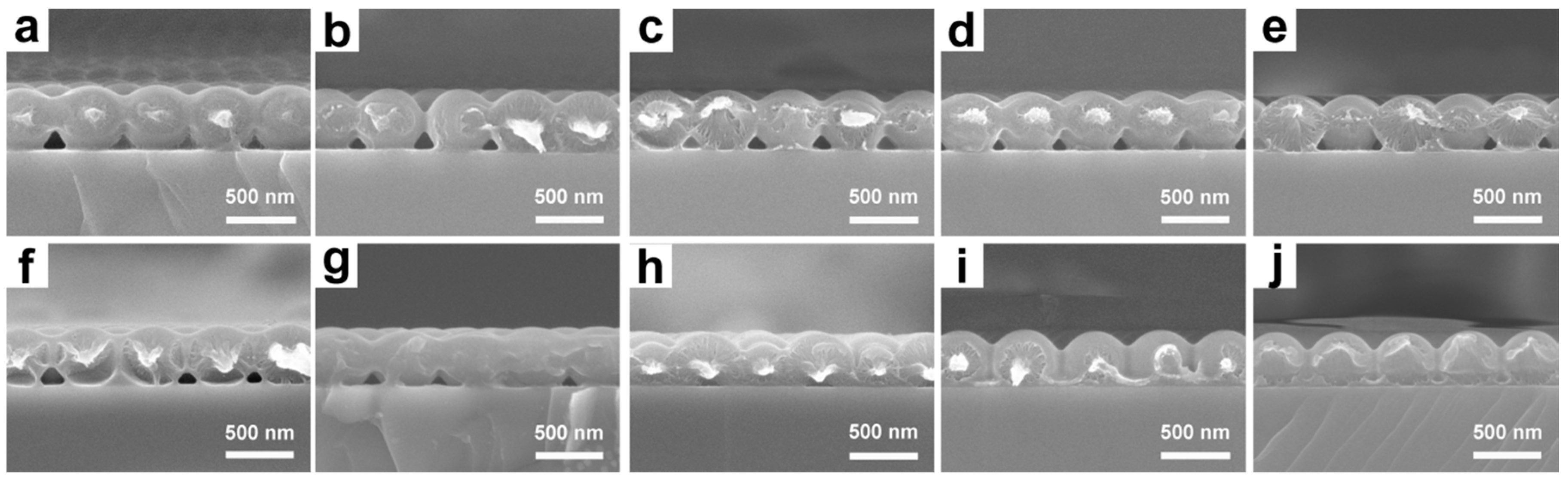 Polymers 11 00534 g002 Polymers 11 00534 g002