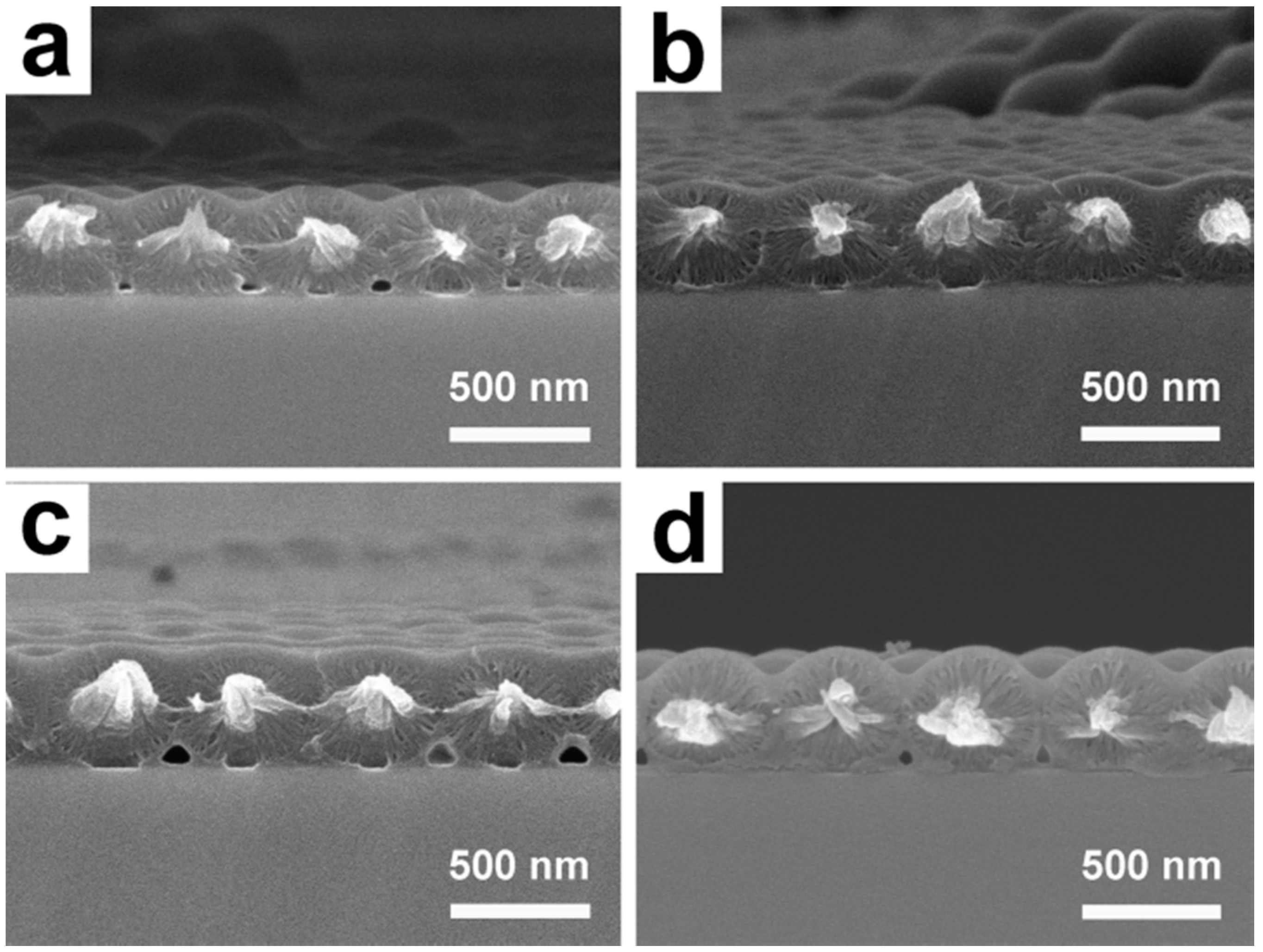 Polymers 11 00534 g005 Polymers 11 00534 g005
