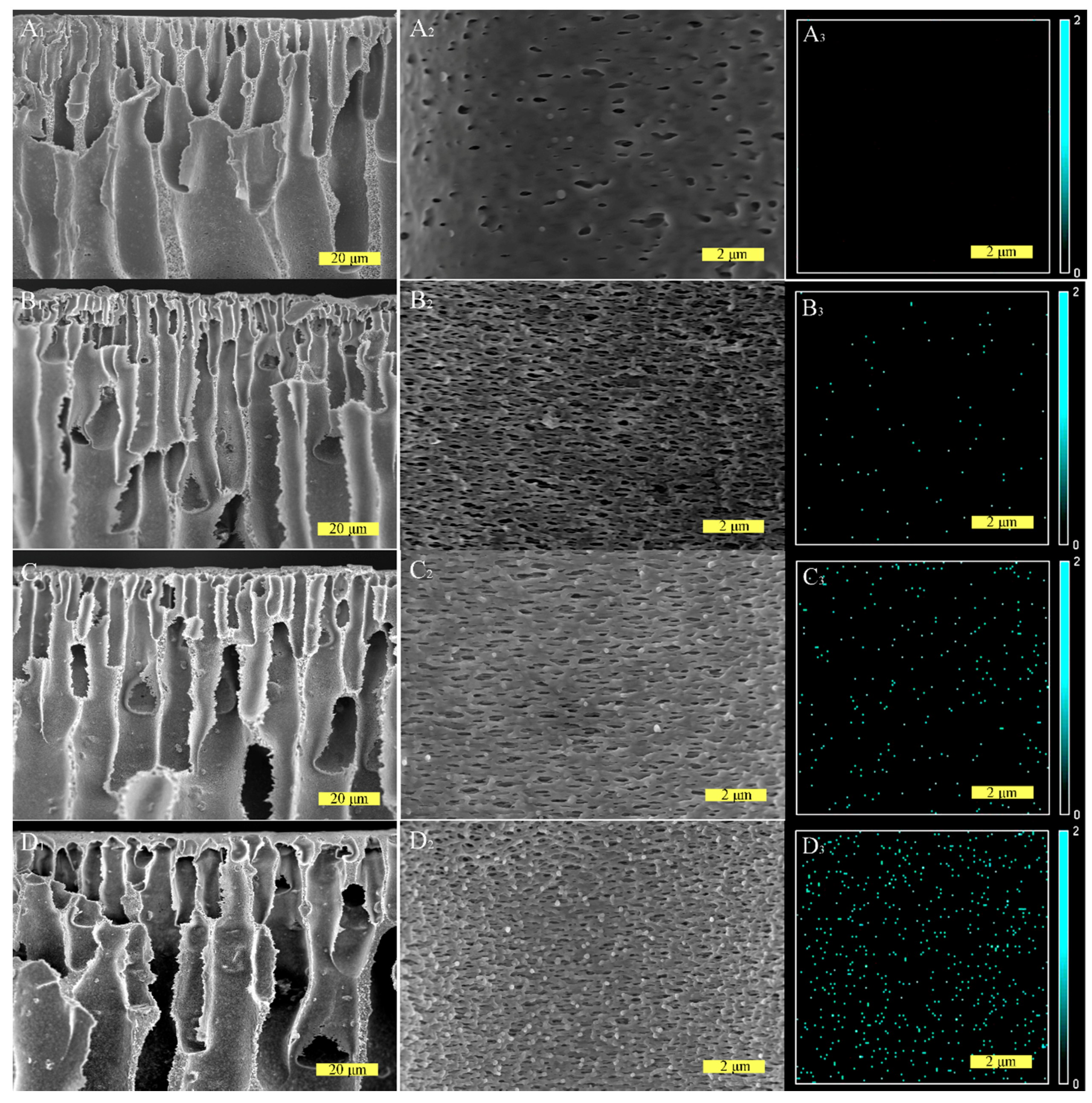 Polymers 11 00555 g003 Polymers 11 00555 g003