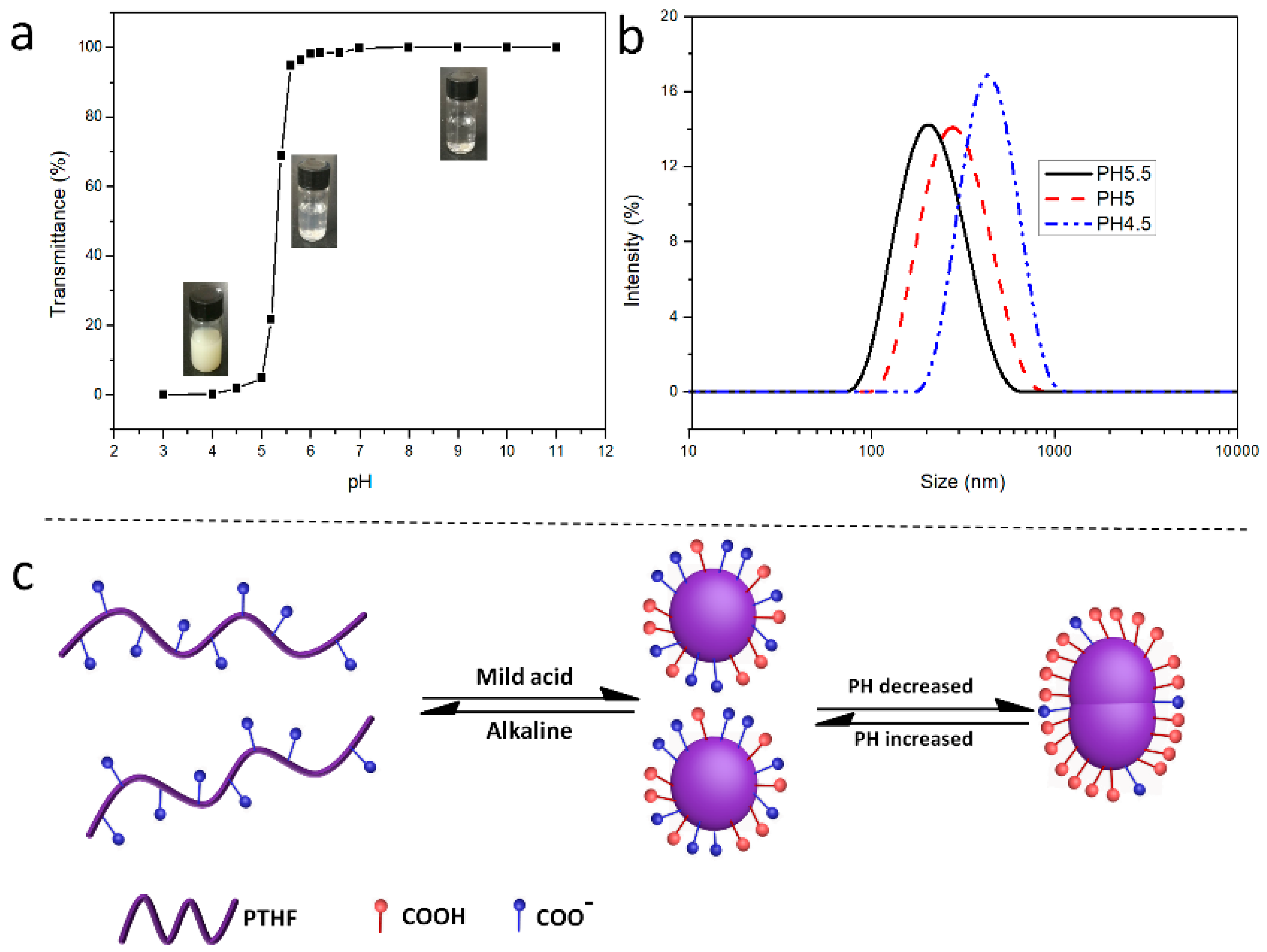 Polymers 11 00583 g006