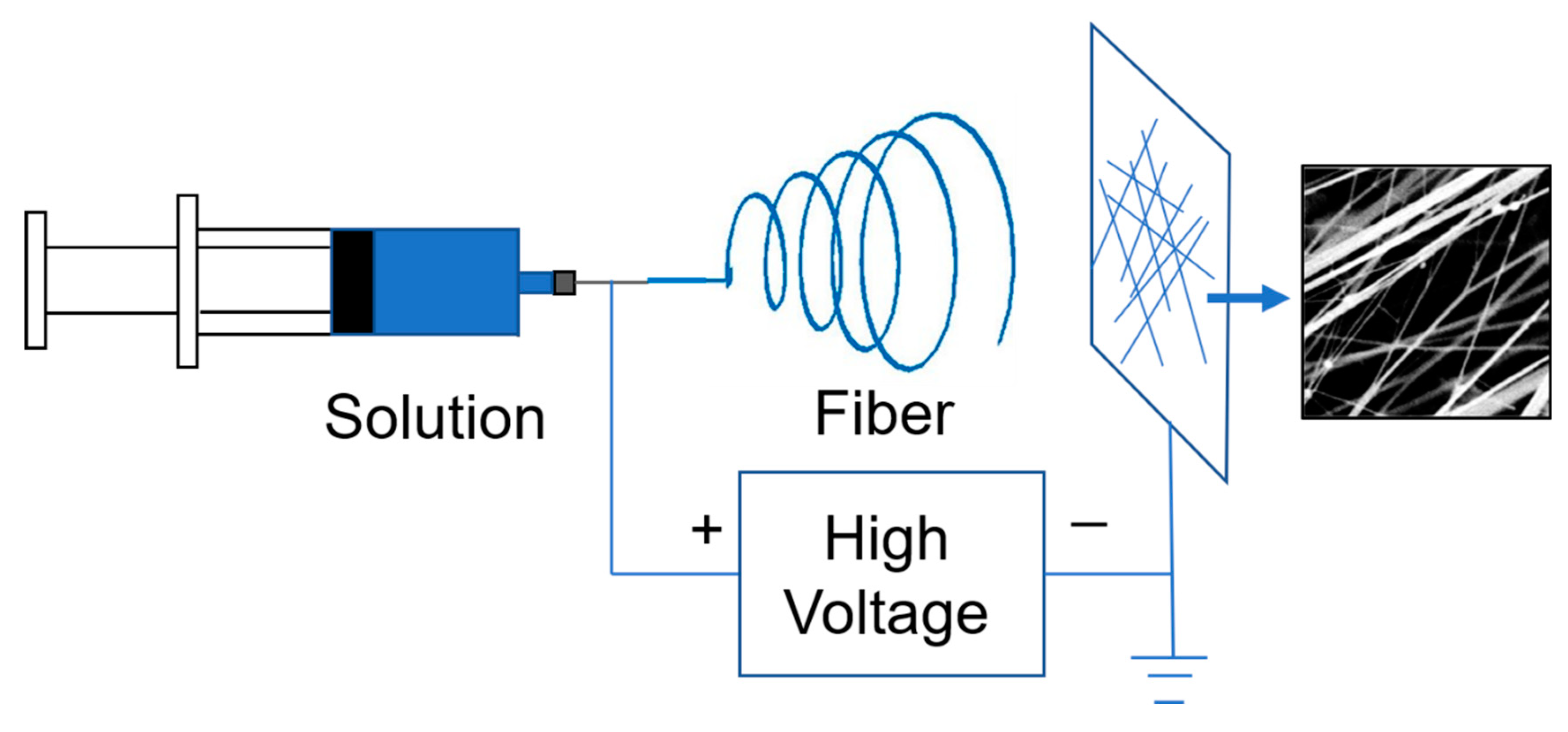Polymers 11 00590 g002