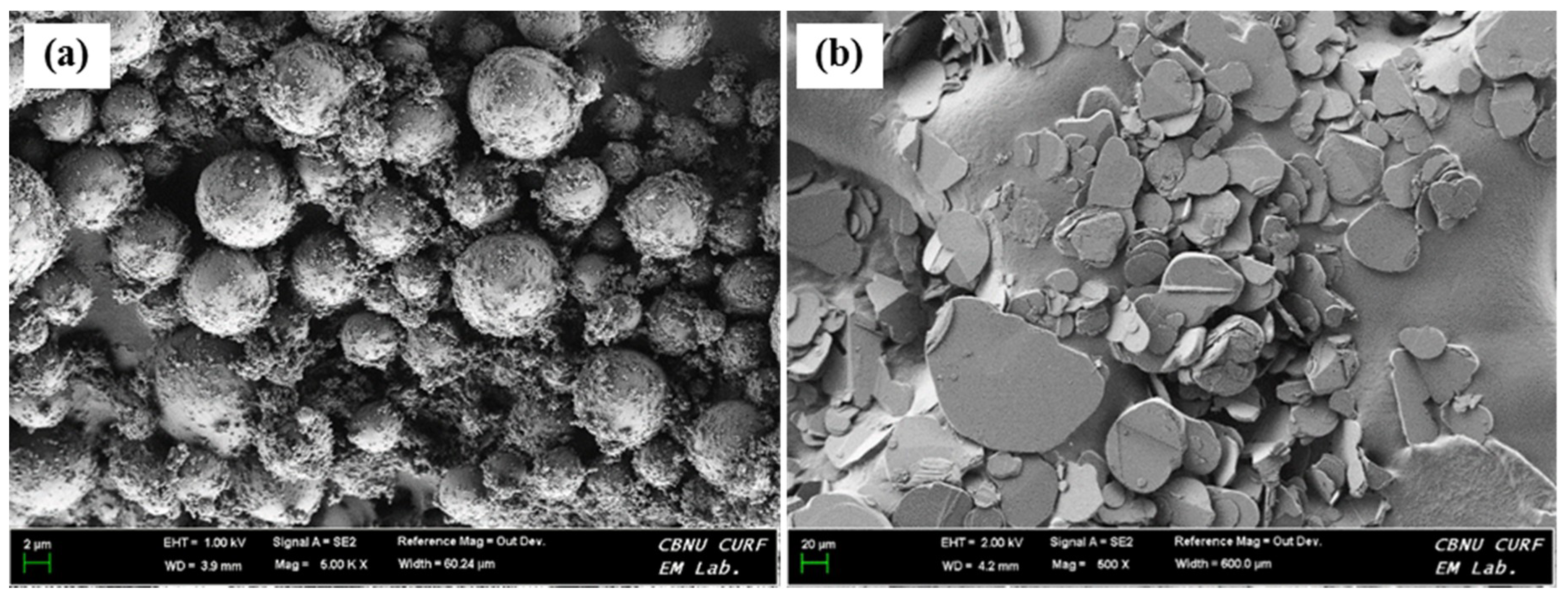Polymers 11 00597 g001