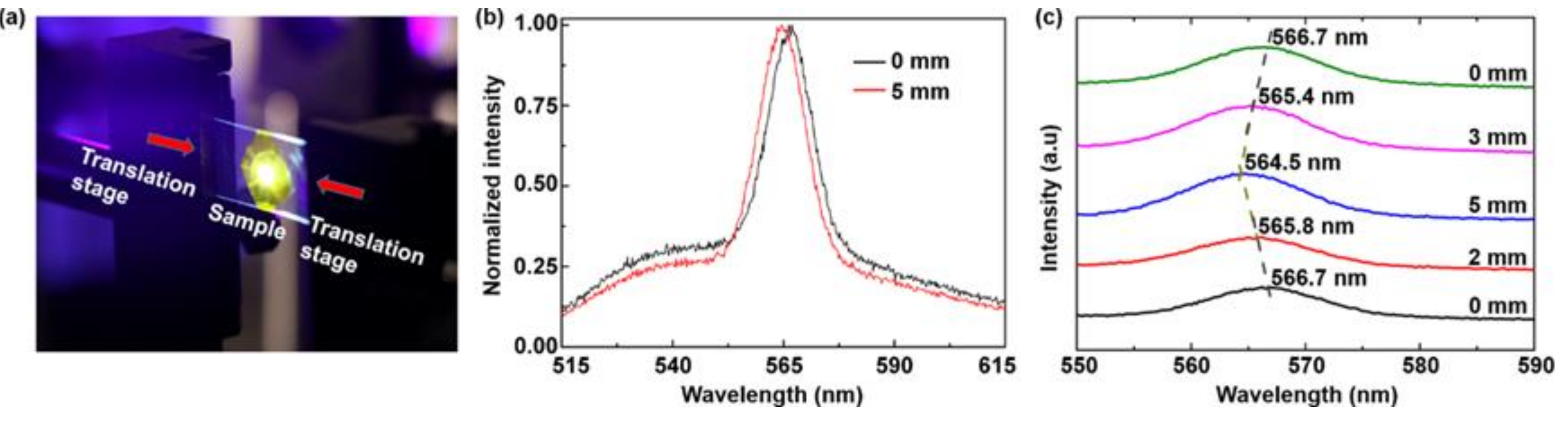 Polymers | Free Full-Text | Flexible Random Laser Using Silver Nanoflowers  | HTML