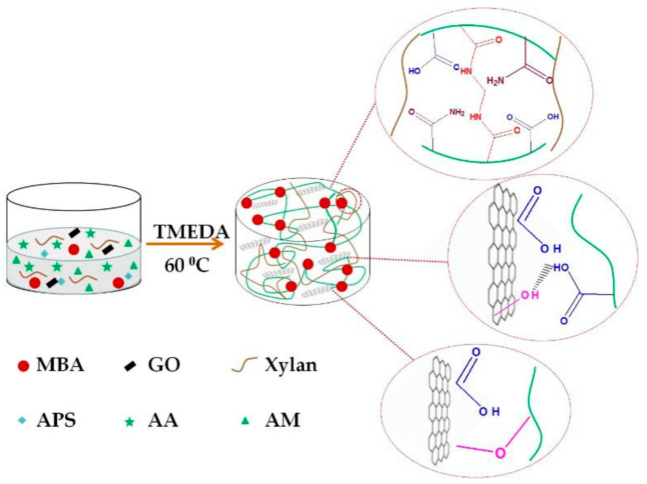 Polymers Free Full Text Preparation Of Xylan G P Co Am Go Nanocomposite Hydrogel And Its Adsorption For Heavy Metal Ions Html