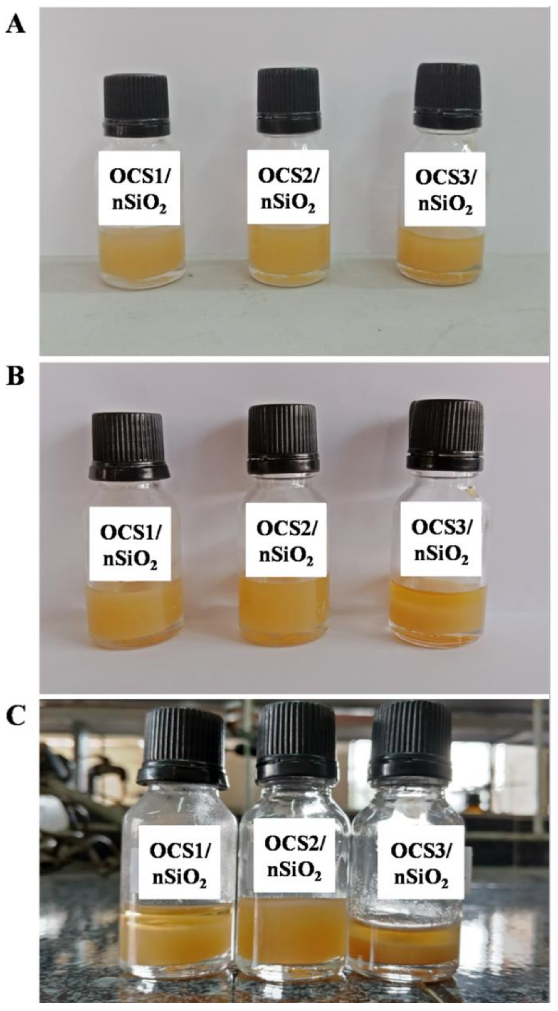 Polymers 11 00628 g006