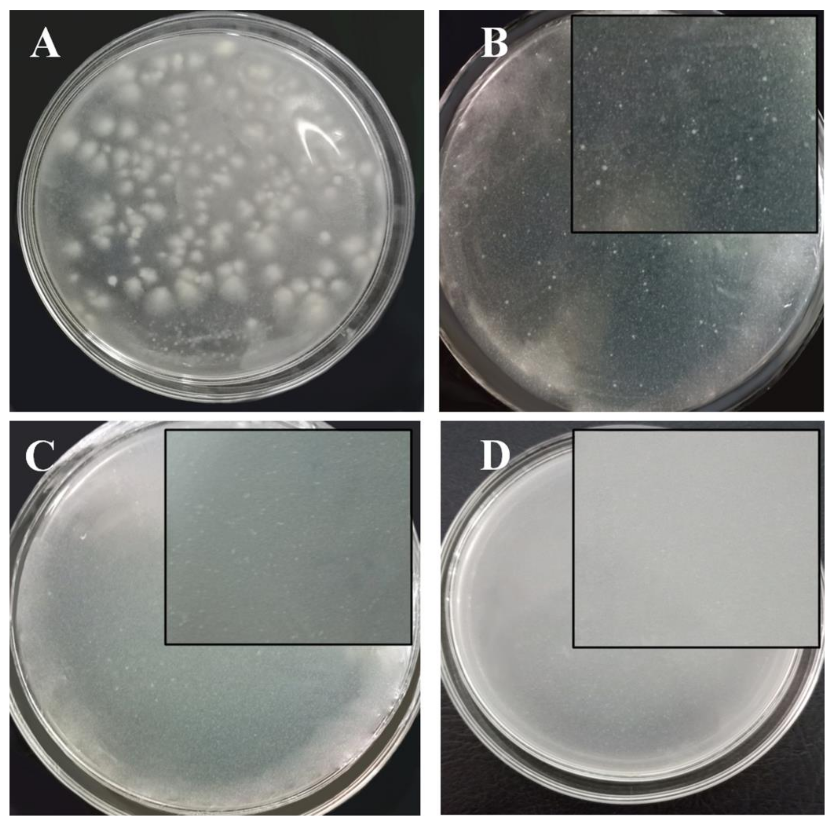 Polymers 11 00628 g007