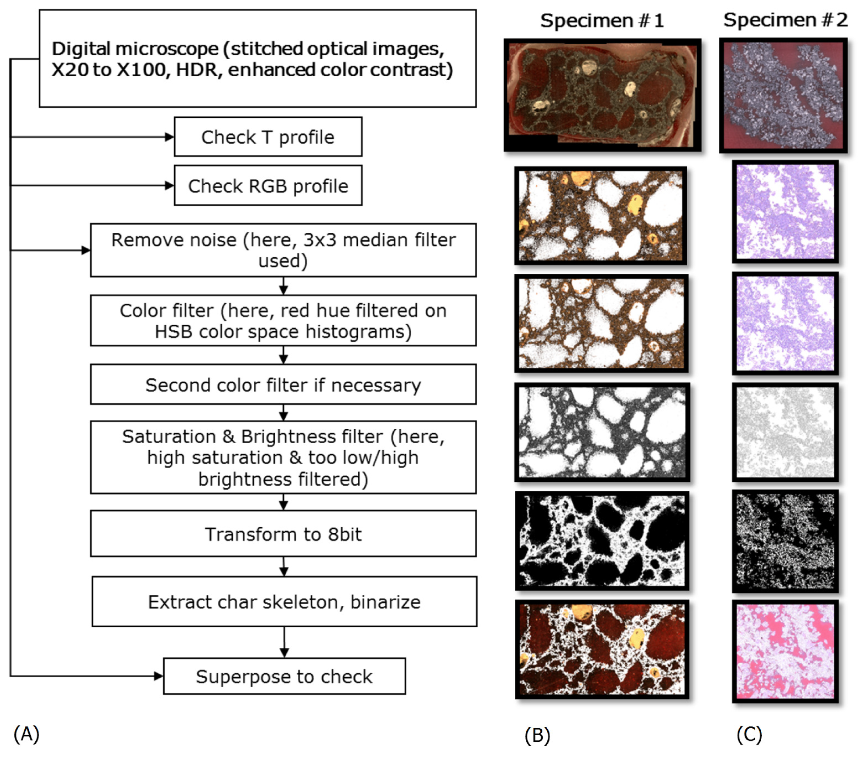 Polymers 11 00640 g002 Polymers 11 00640 g002