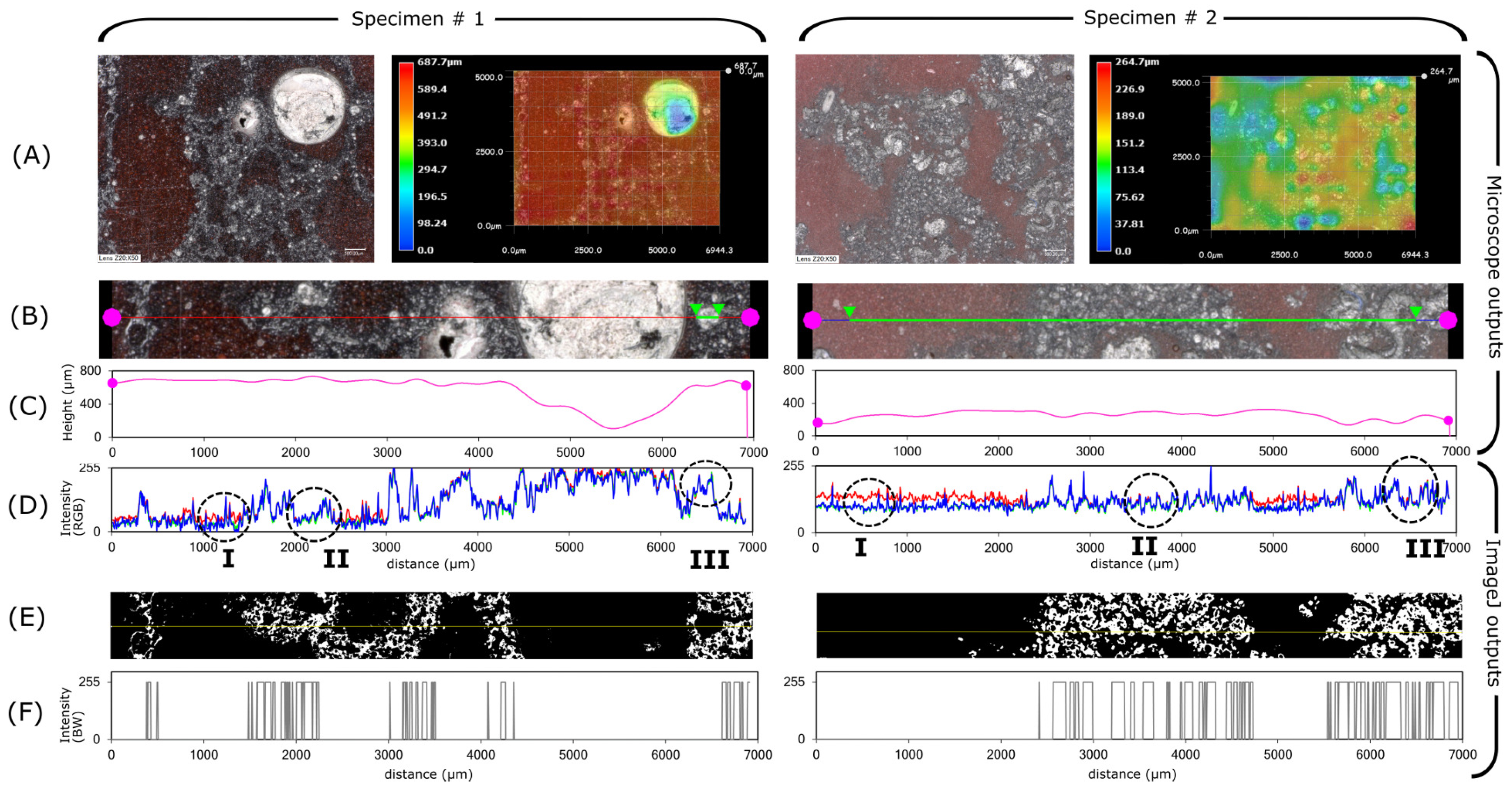 Polymers 11 00640 g003 Polymers 11 00640 g003